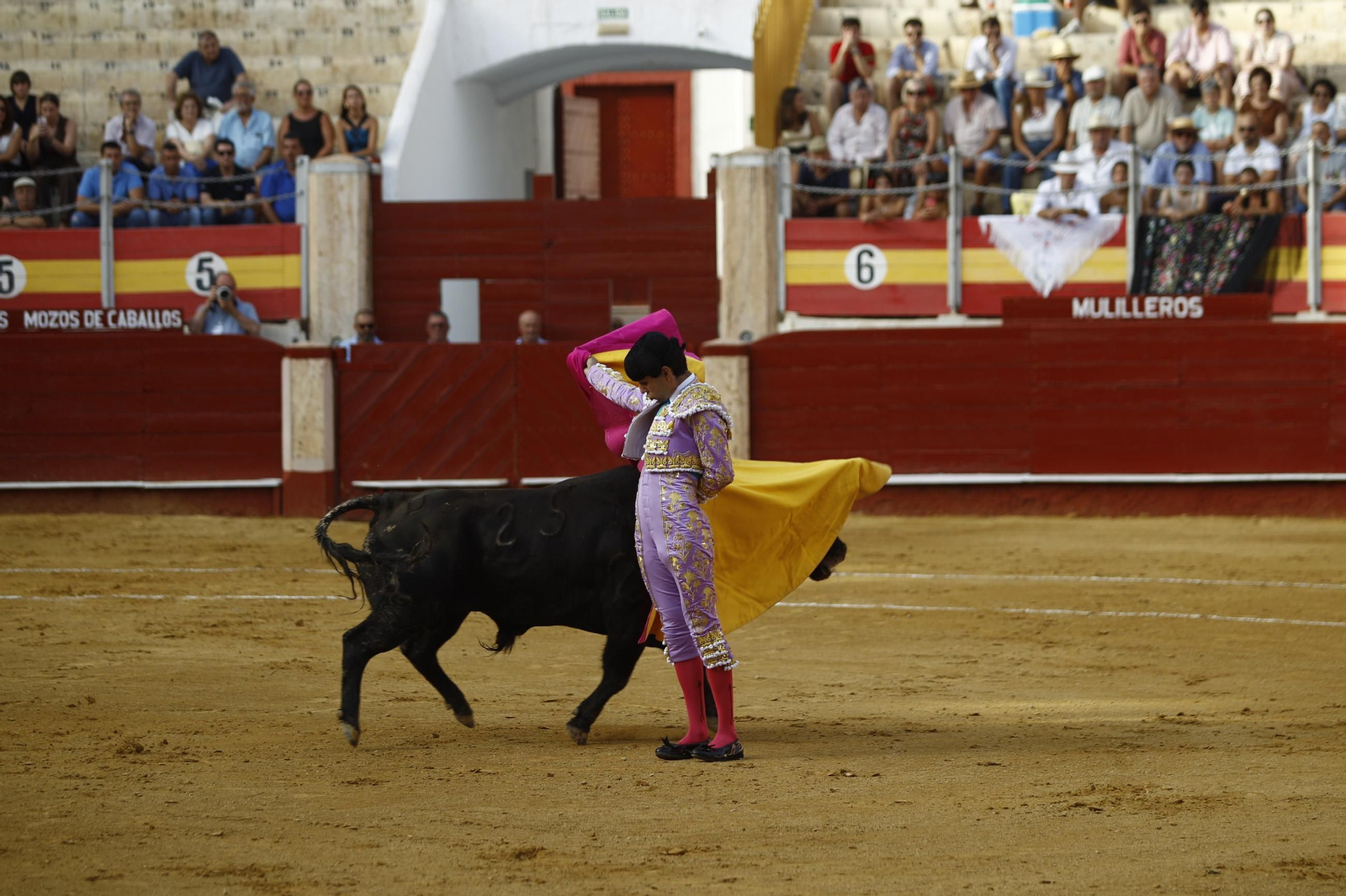 Imágenes de la novillada de la Feria de Almería 2025