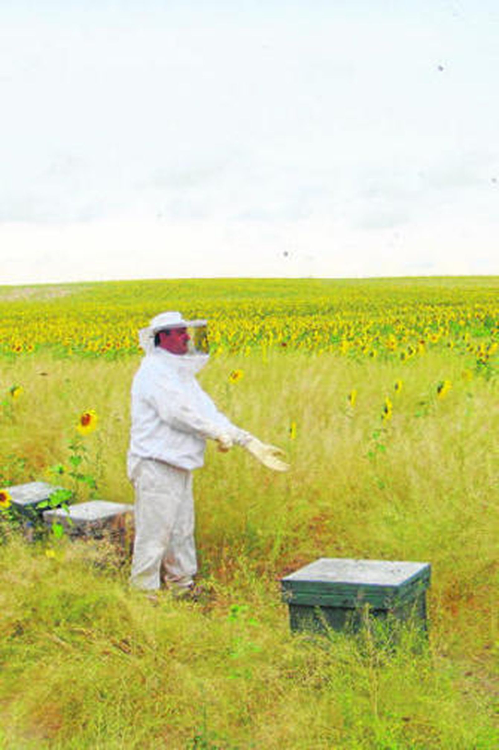 Ángel Díaz, apicultor y responsable estatal en Coag del sector apícola.