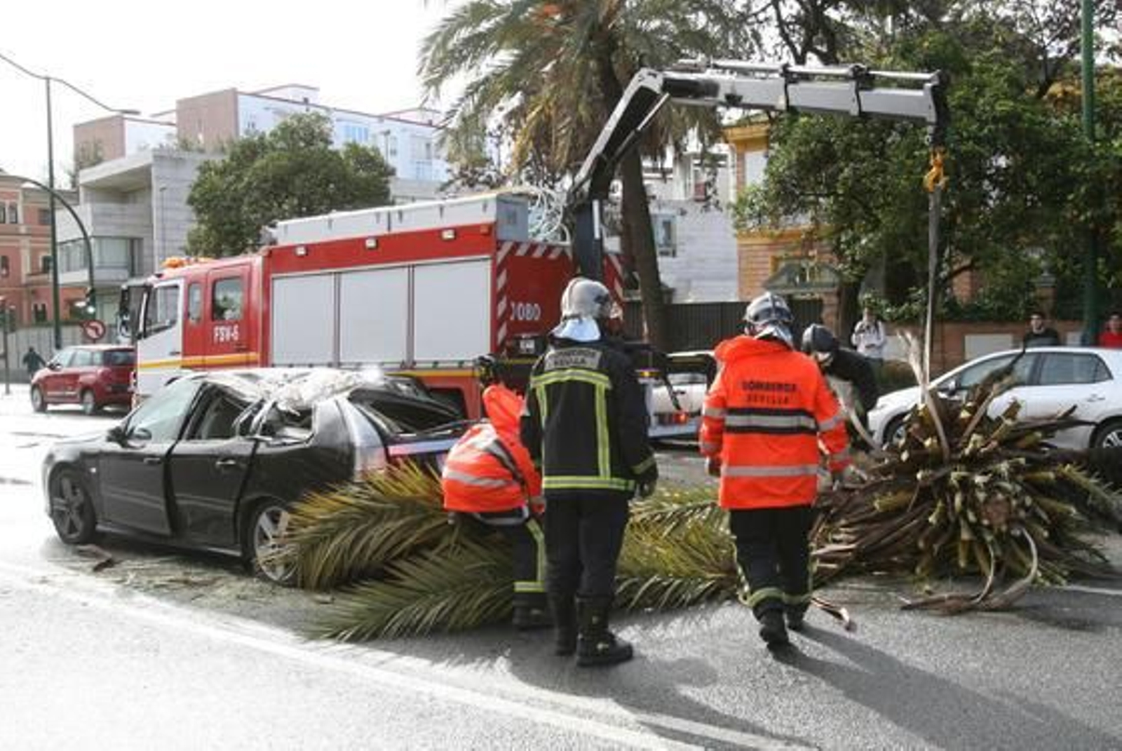 Foto: José Ángel García
