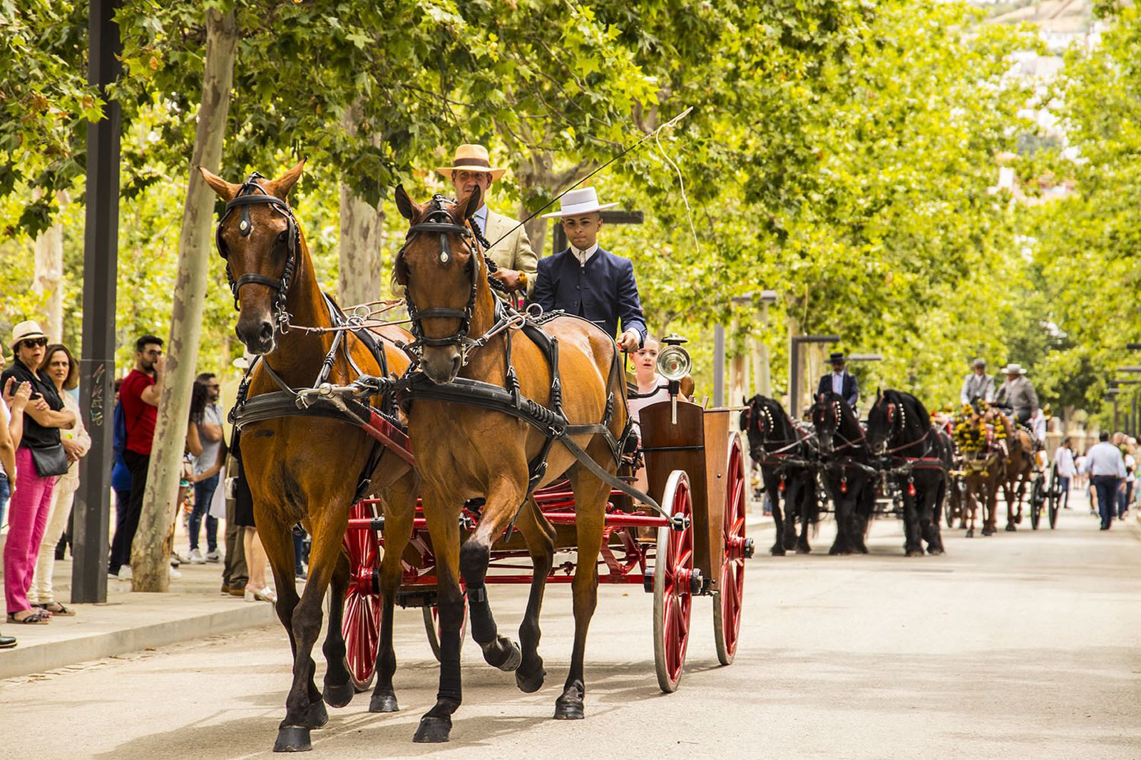 Un domingo para pasar en familia