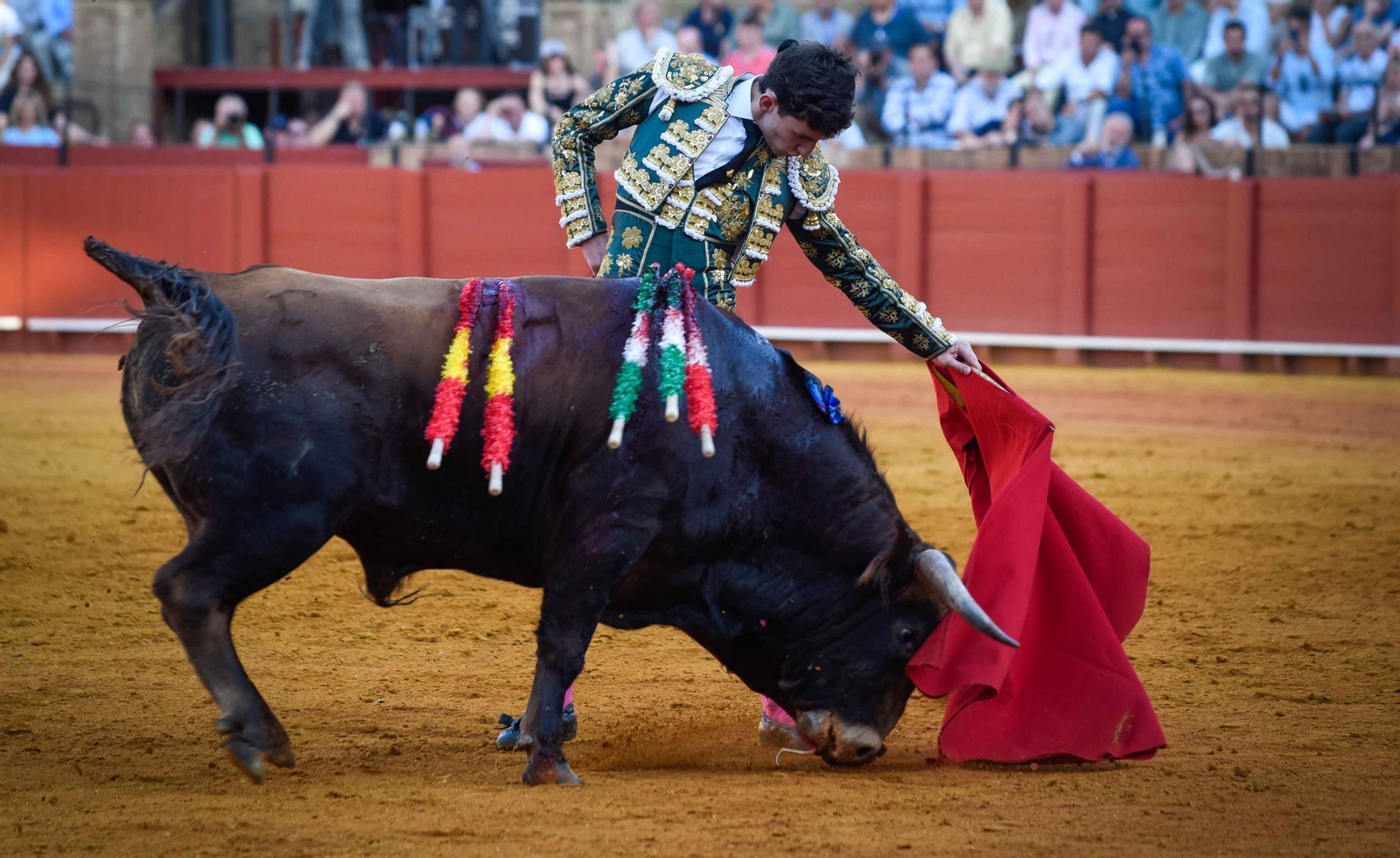 Final de la sexta edición del Circuito de Novilladas de Andalucía