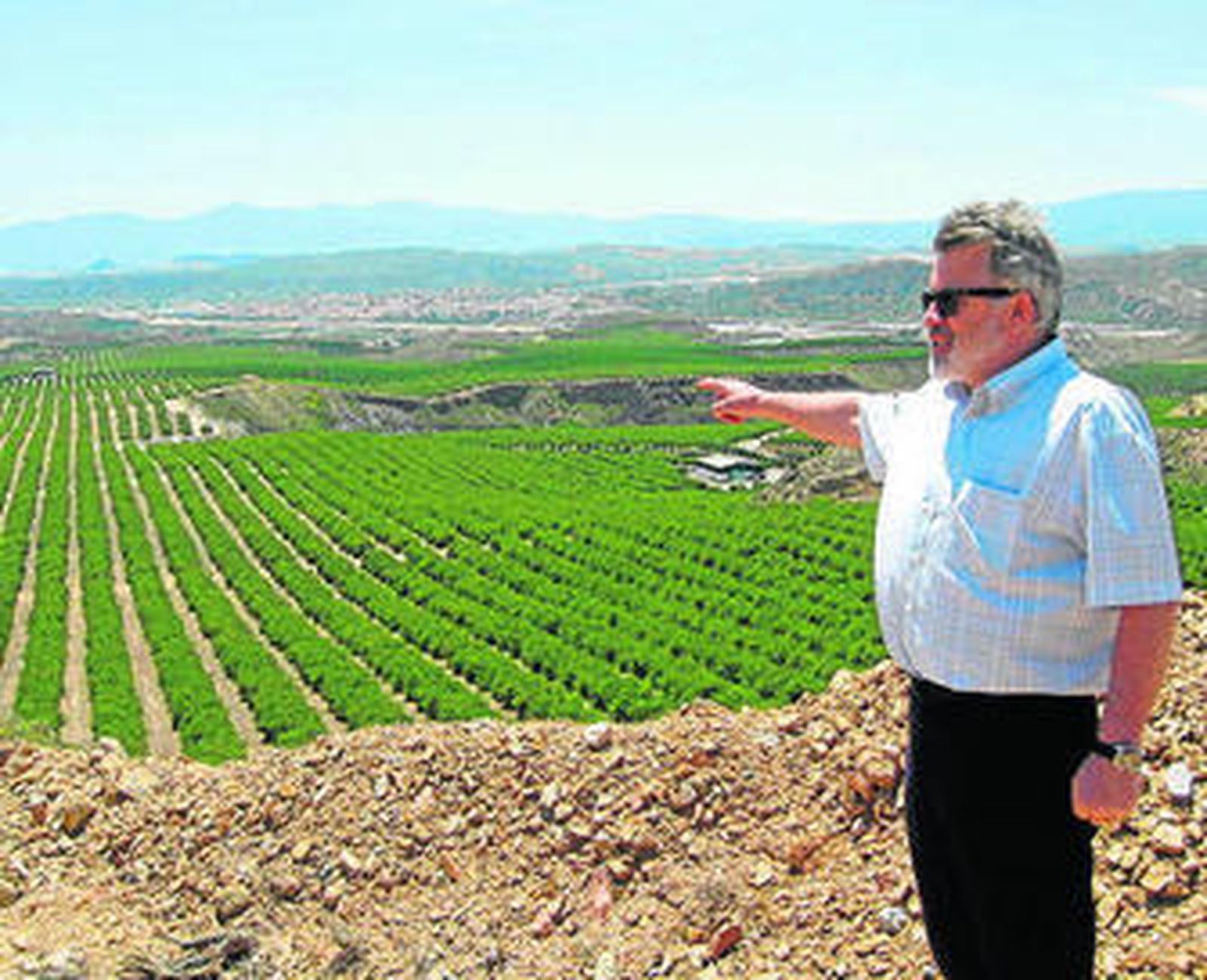 Juan Deus en una explotación de cítricos en Cuevas del Almanzora