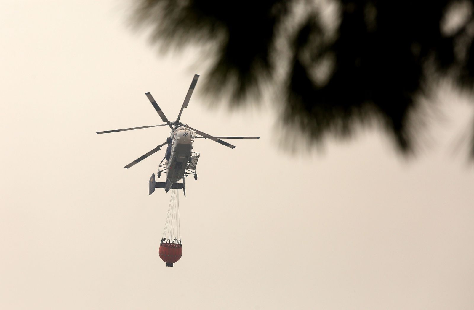 Las consecuencias del incendio en Mazagón