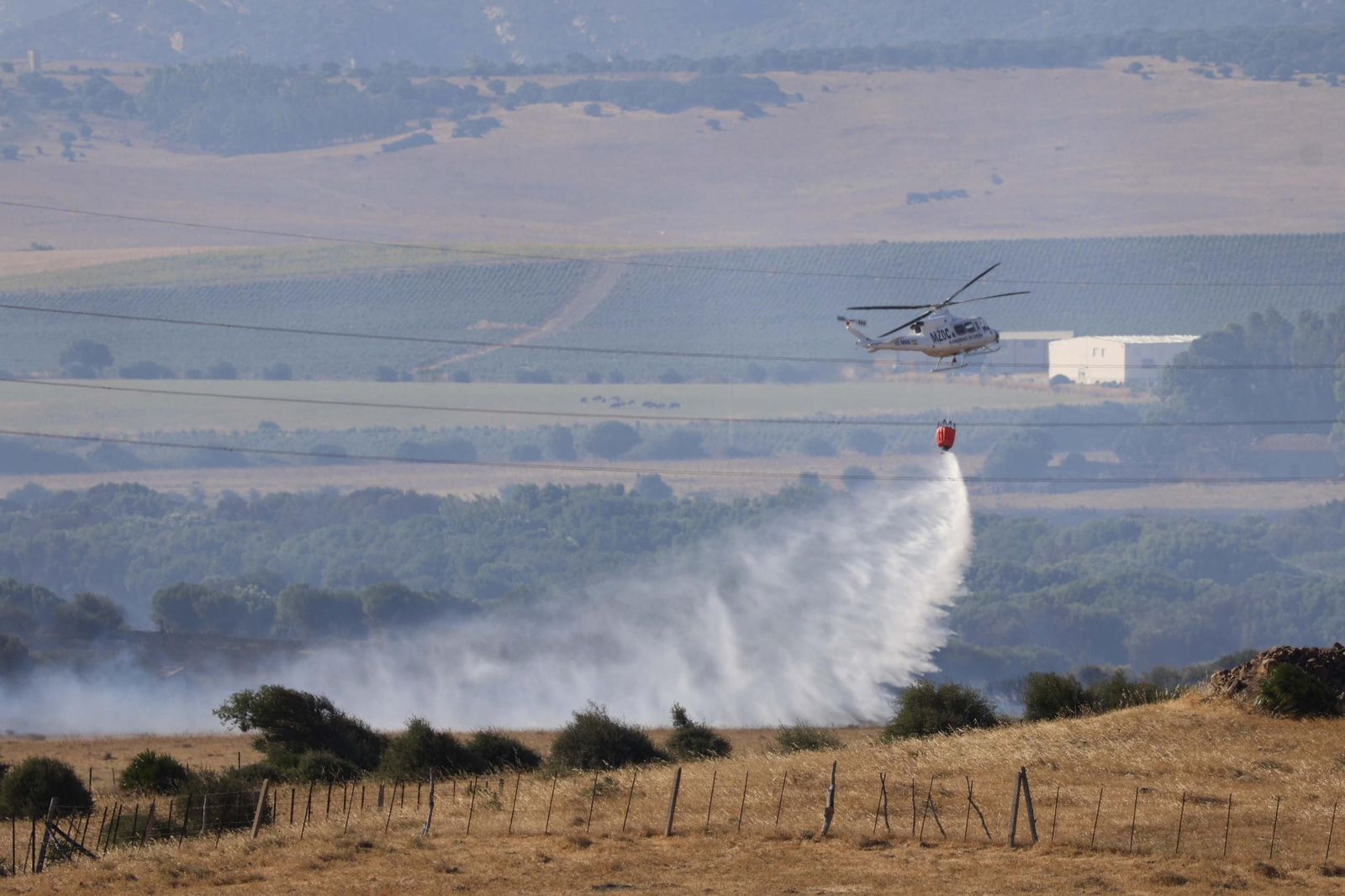 Las fotografías del incendio forestal en Facinas (Tarifa)