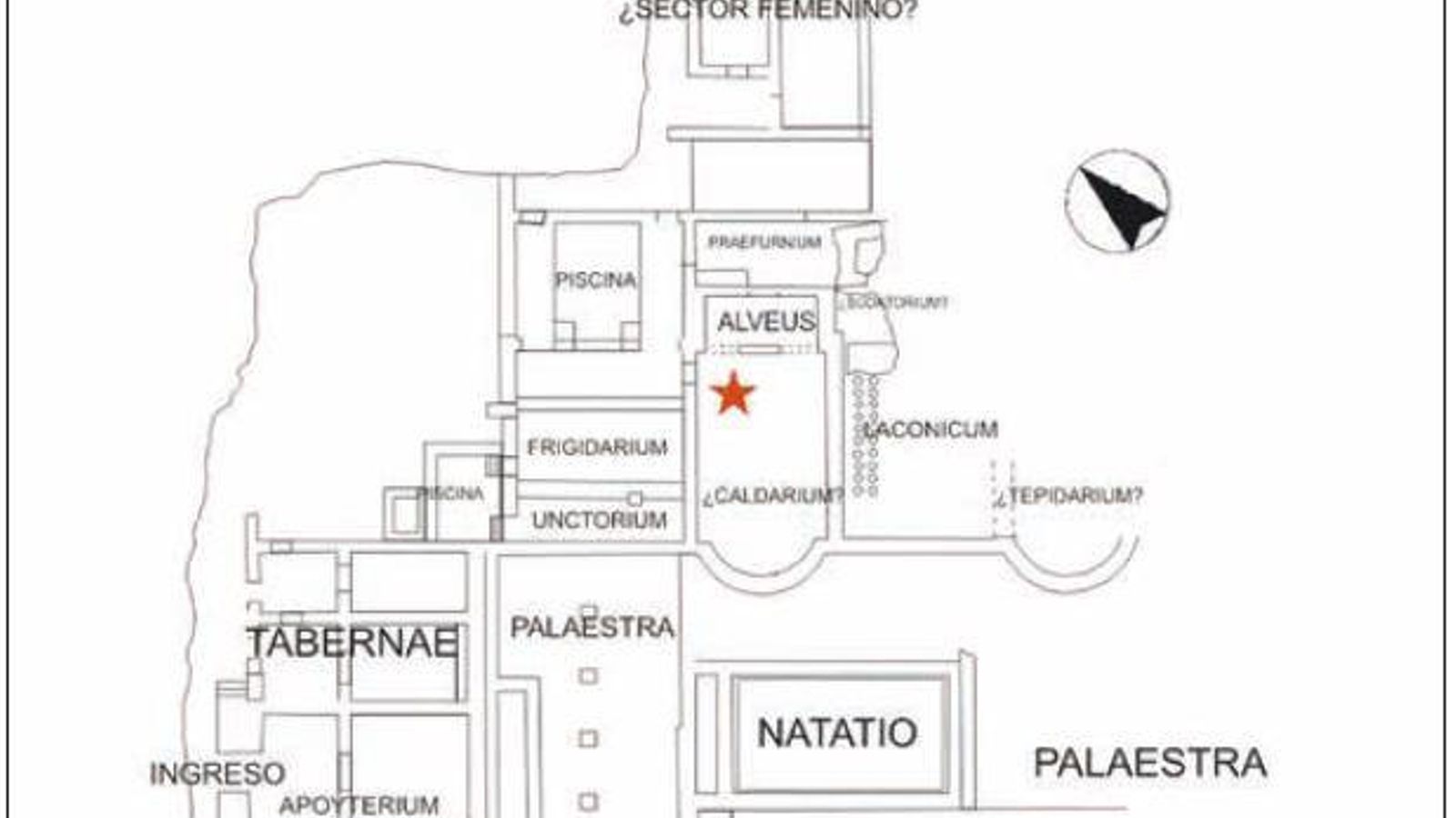 Planta de las termas de Carteia según hipótesis de Gómez Araujo (2014) e indicación del lugar del hallazgo de la estatua de Apolo.