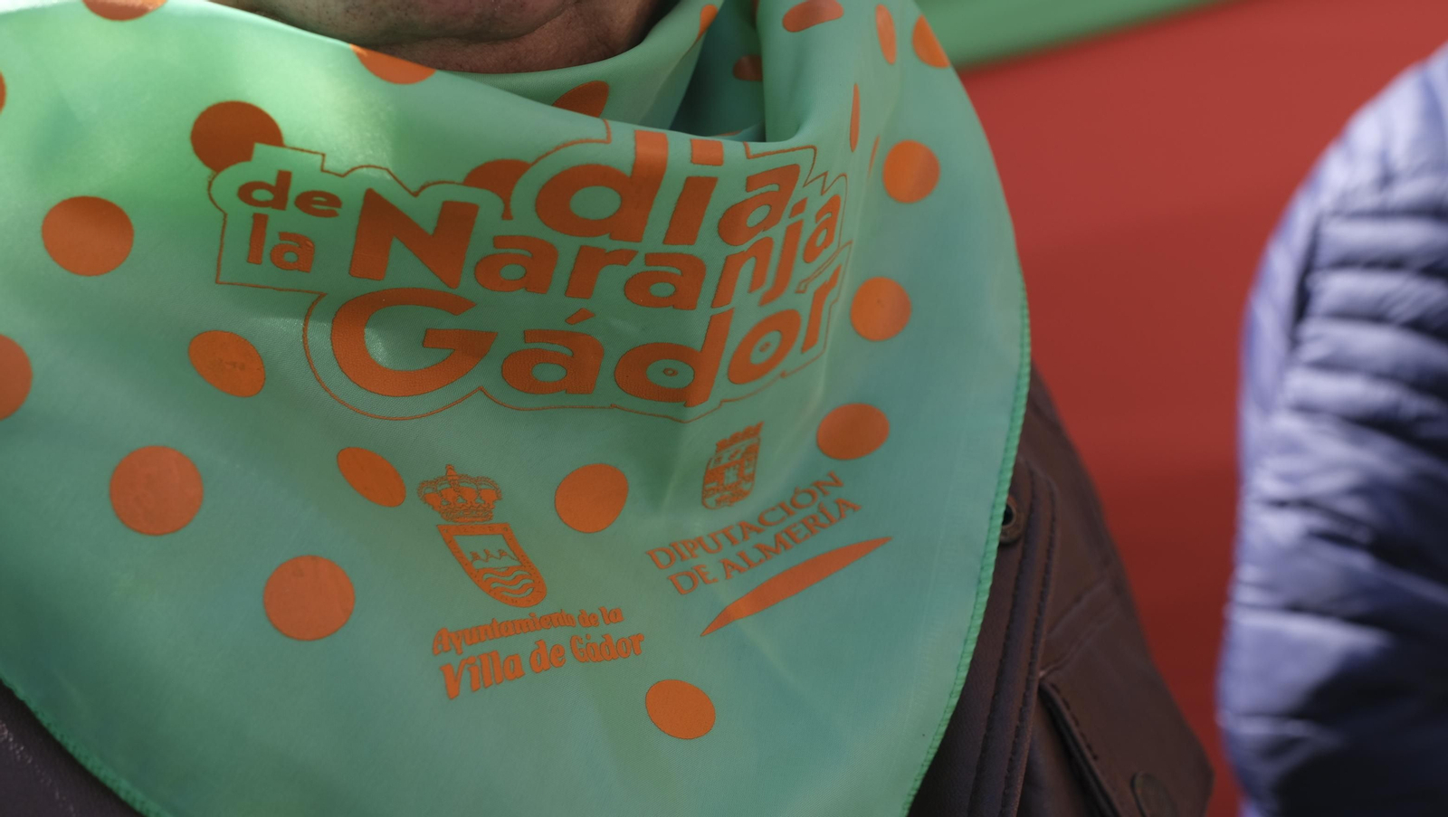 Imágenes del Día de la Naranja, en Gádor