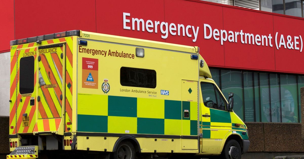 La obesidad aumenta significativamente el riesgo de hospitalización o muerte por infección