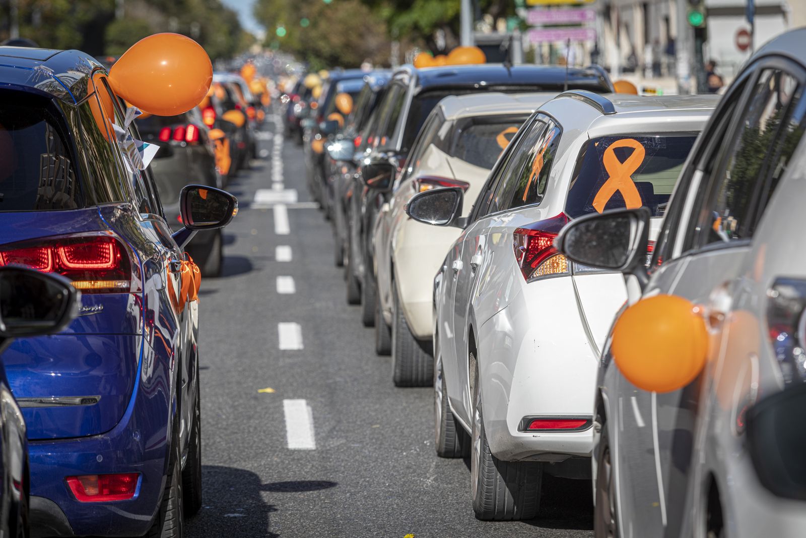 Imágenes de la caravana de coches en Cádiz contra la Ley Celaá