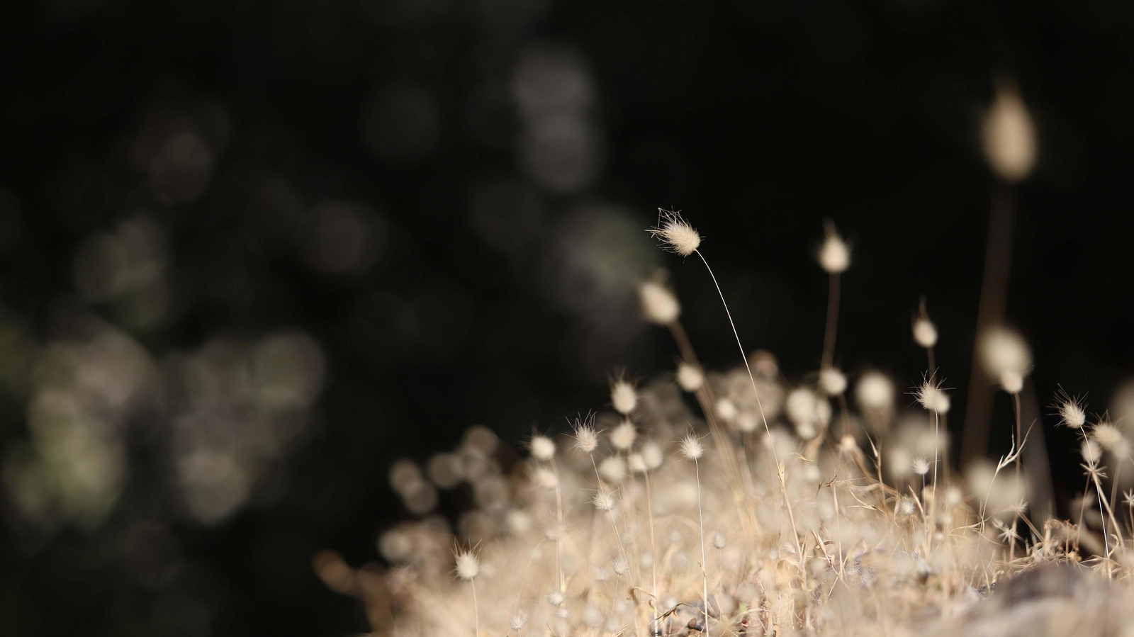 Las mejores fotos del sendero del Río Hozgarganta