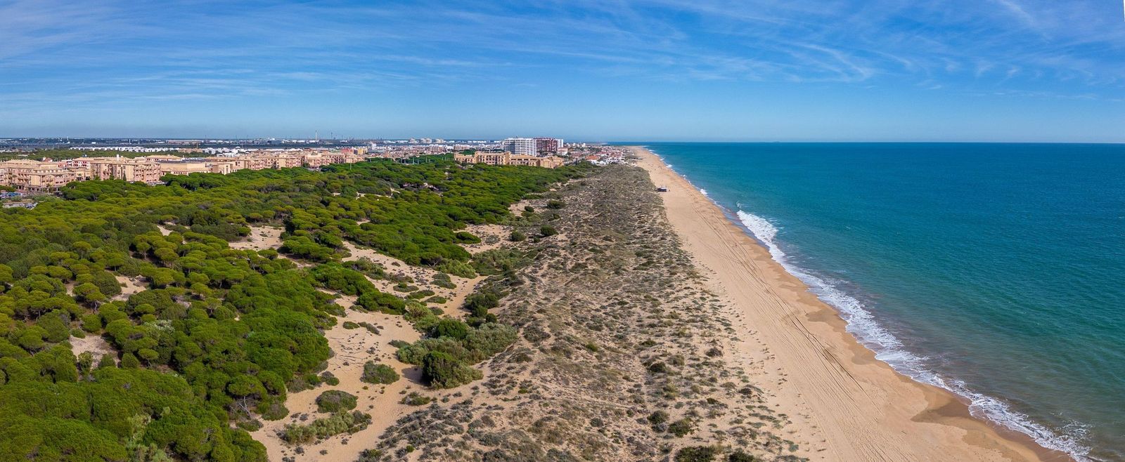Playas kilométricas de arena dorada y pinares verdes