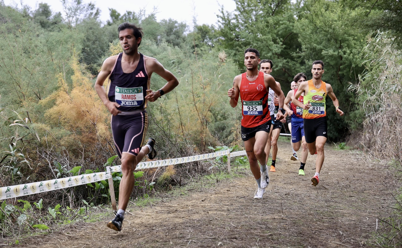 Cross Internacional de Itálica