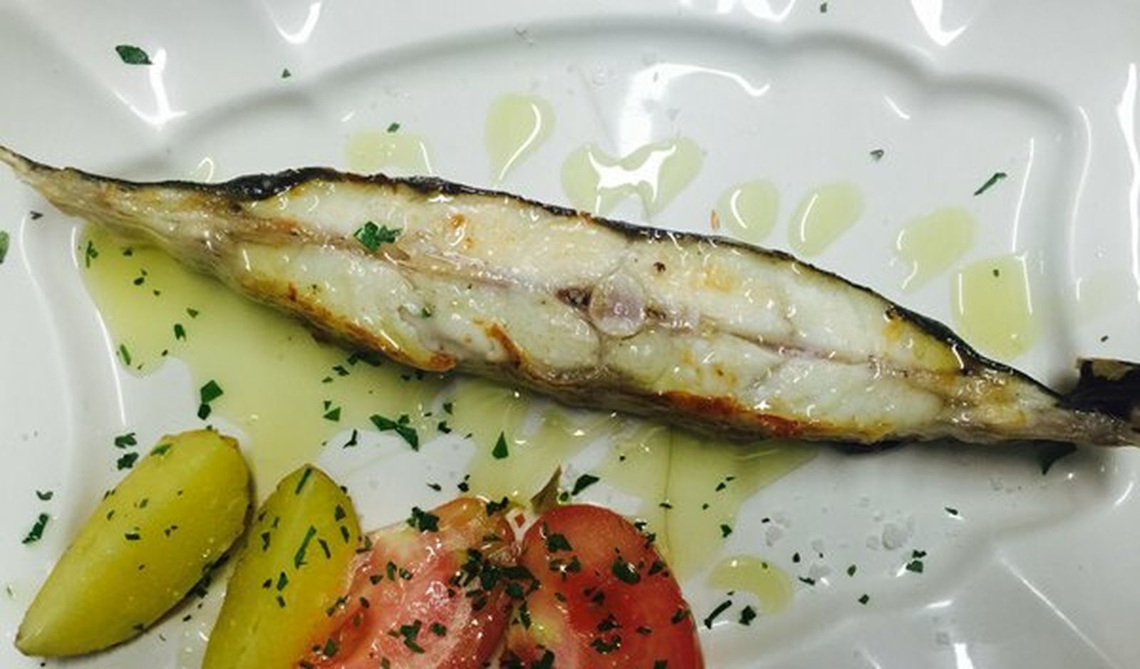 Rodaballo: Scophtalmus maximus