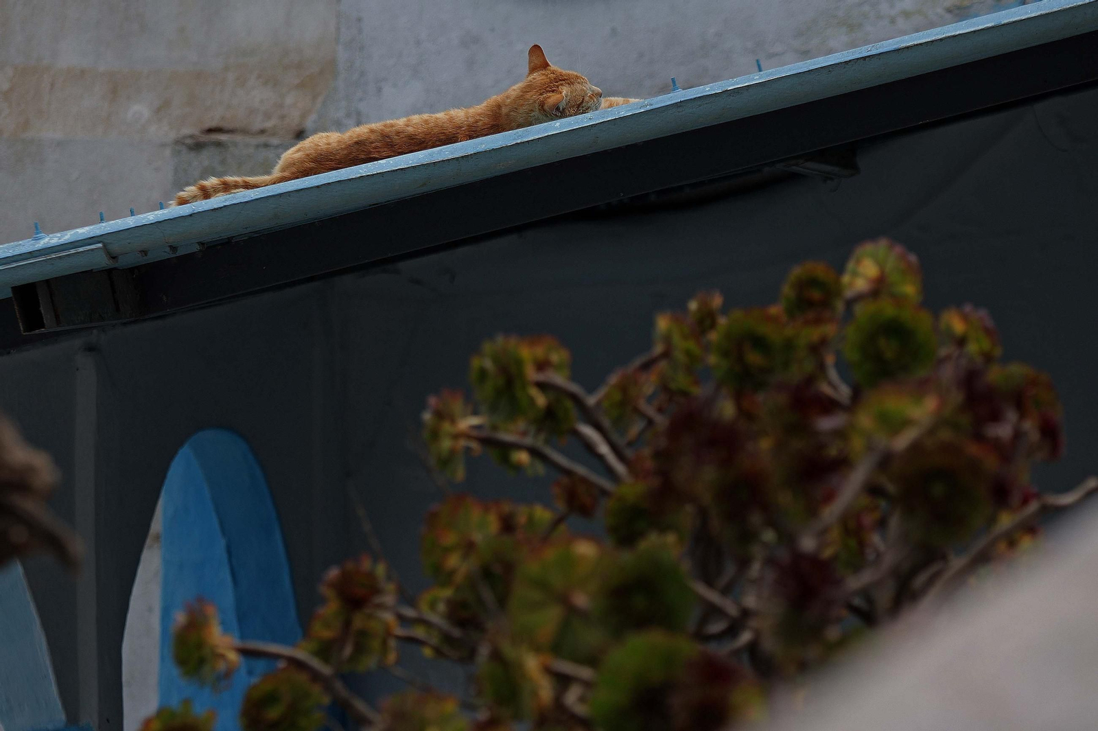Un paseo por la ciudad de Tánger, en imágenes