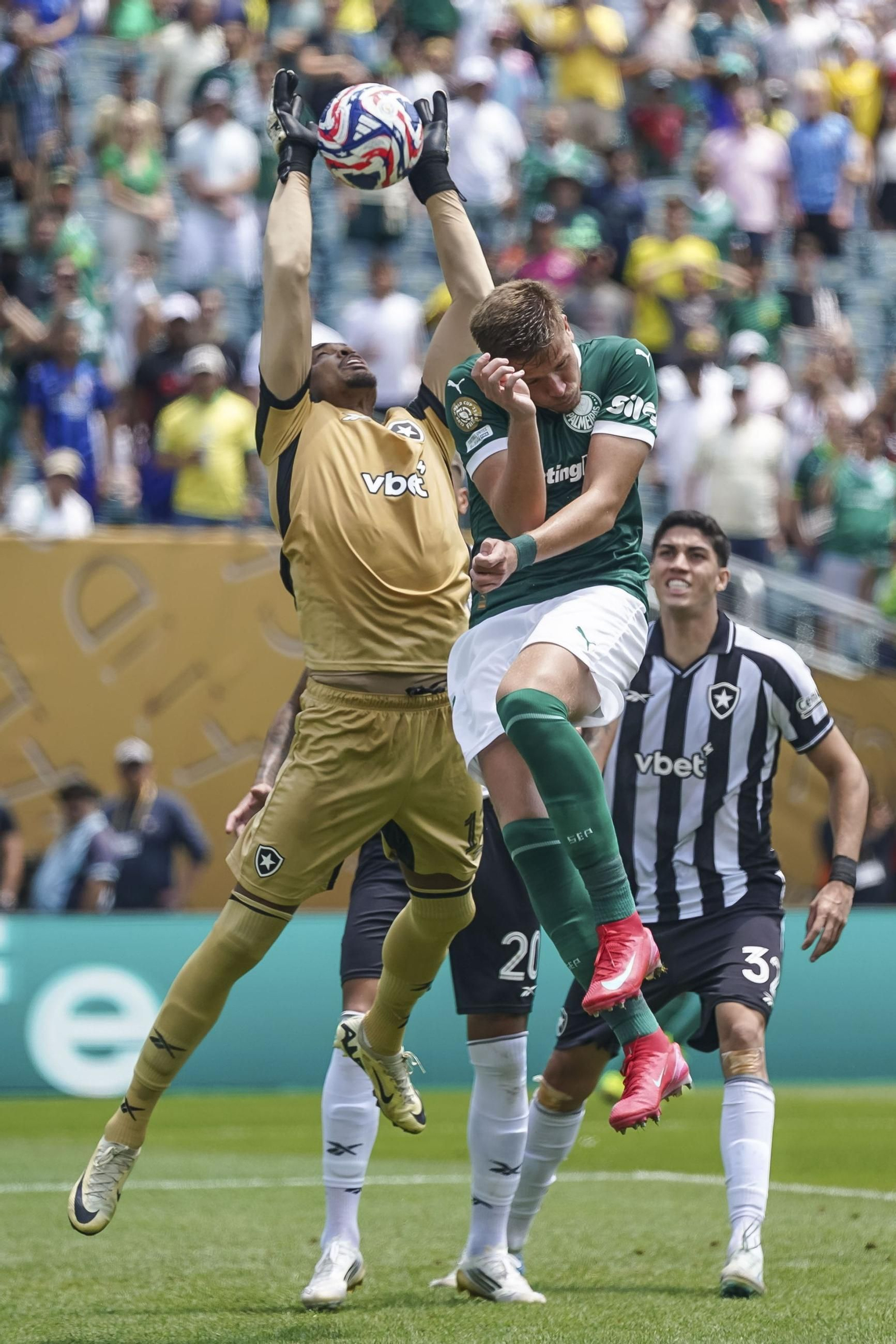 Palmeiras-Botafogo (12).jpg
