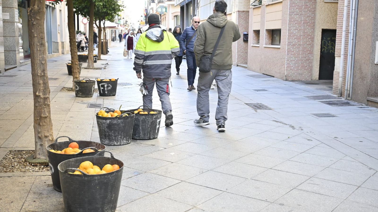 Operario durante la retirada de la fruta de las calles de la capital.