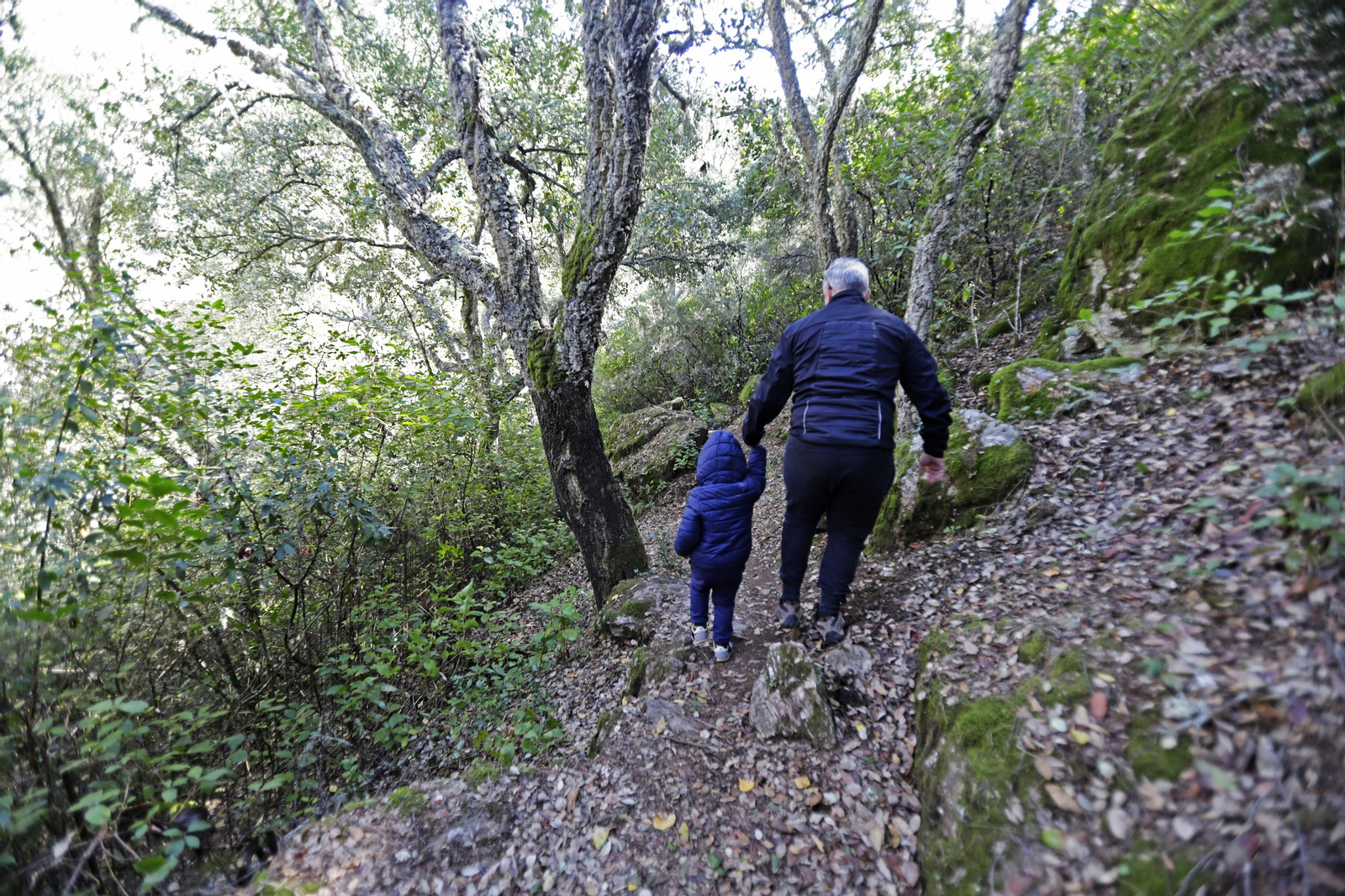 Ruta de Senderismo Charco Malo