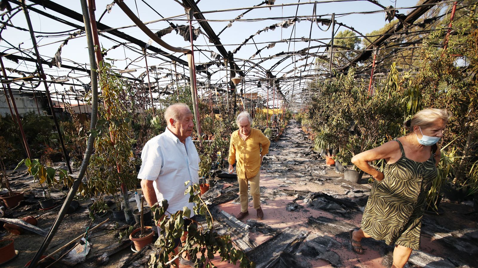 Imágenes de las zonas afectadas por el grave incendio en Jerez