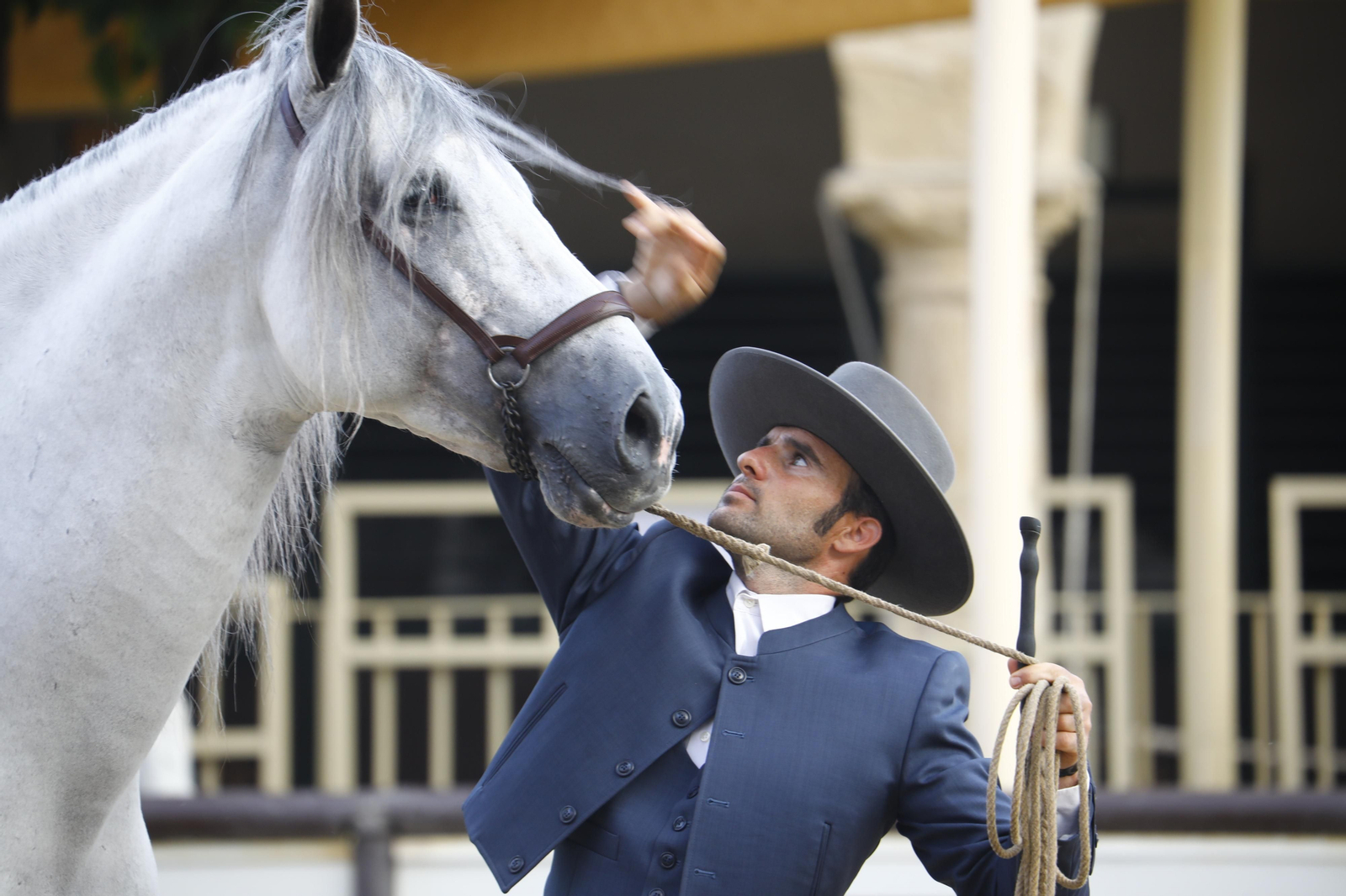 Un momento del concurso morfológico en las Caballerizas Reales de Córdoba.