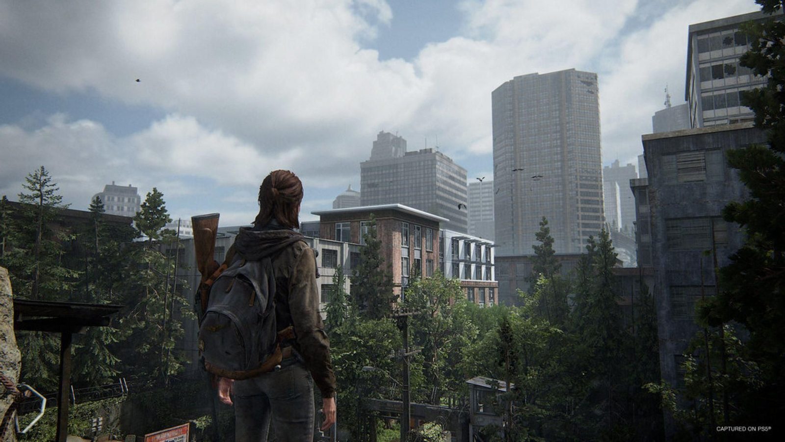 Un momento de juego en el que Ellie otea el horizonte.