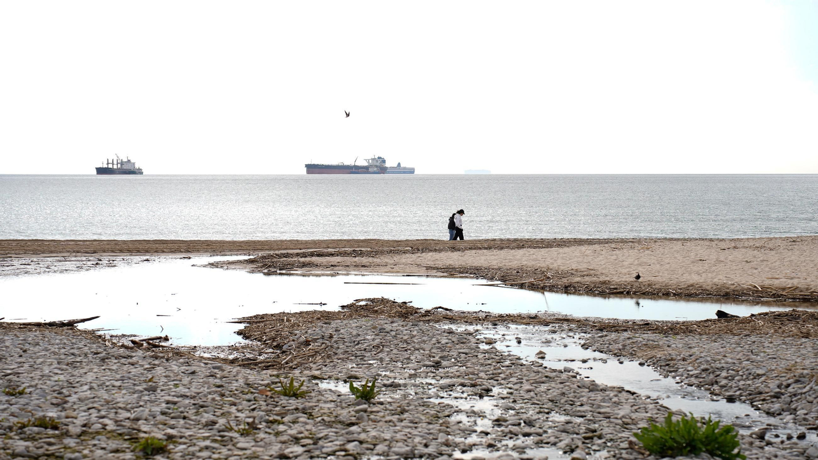 Fotos de la playa de Getares llena de cañas y desechos