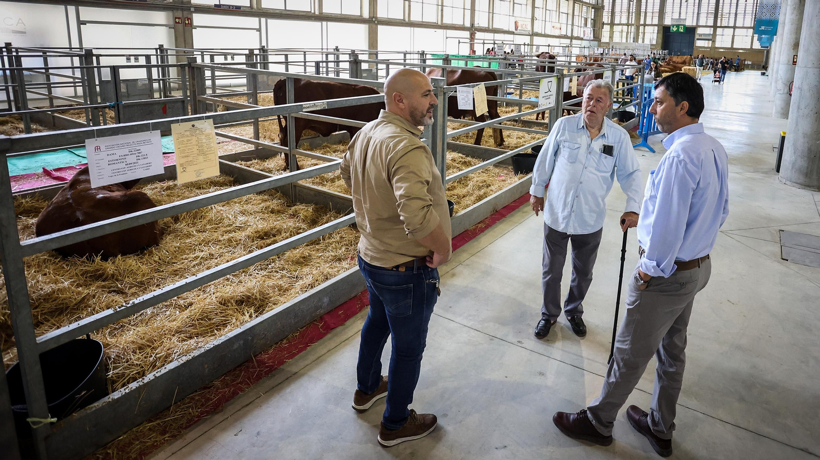 Comienza la feria de la ganadería y la agricultura en IFECA