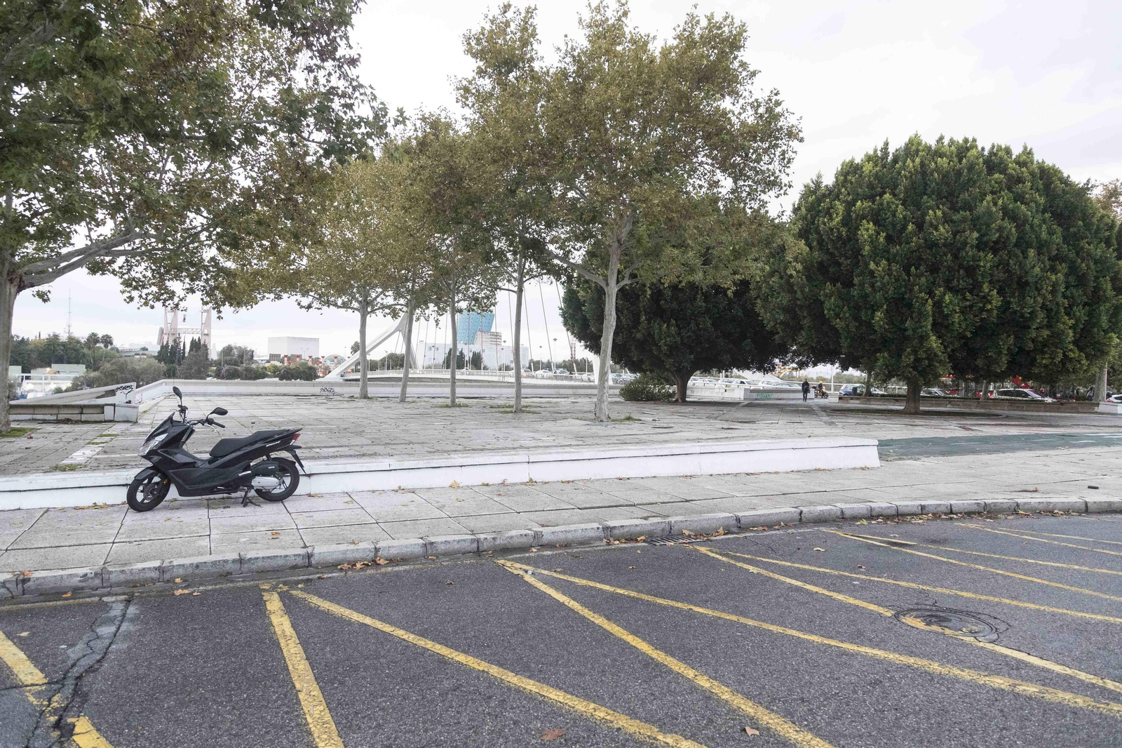 Zona del Paseo de Torneo en la que estaba previsto construir un  parking de una planta.