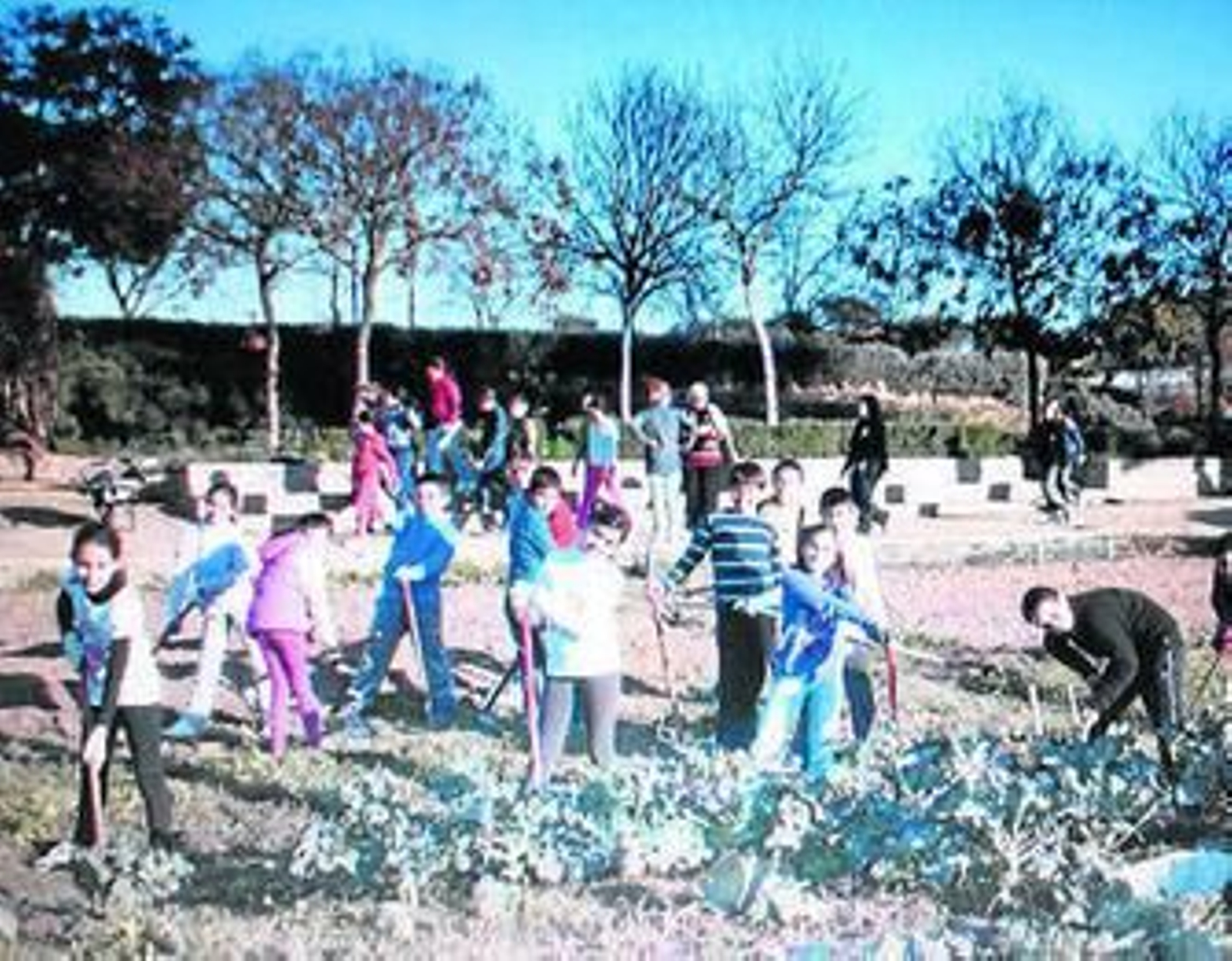 Grupo de niños realizando actividades de siembra en los huertos.