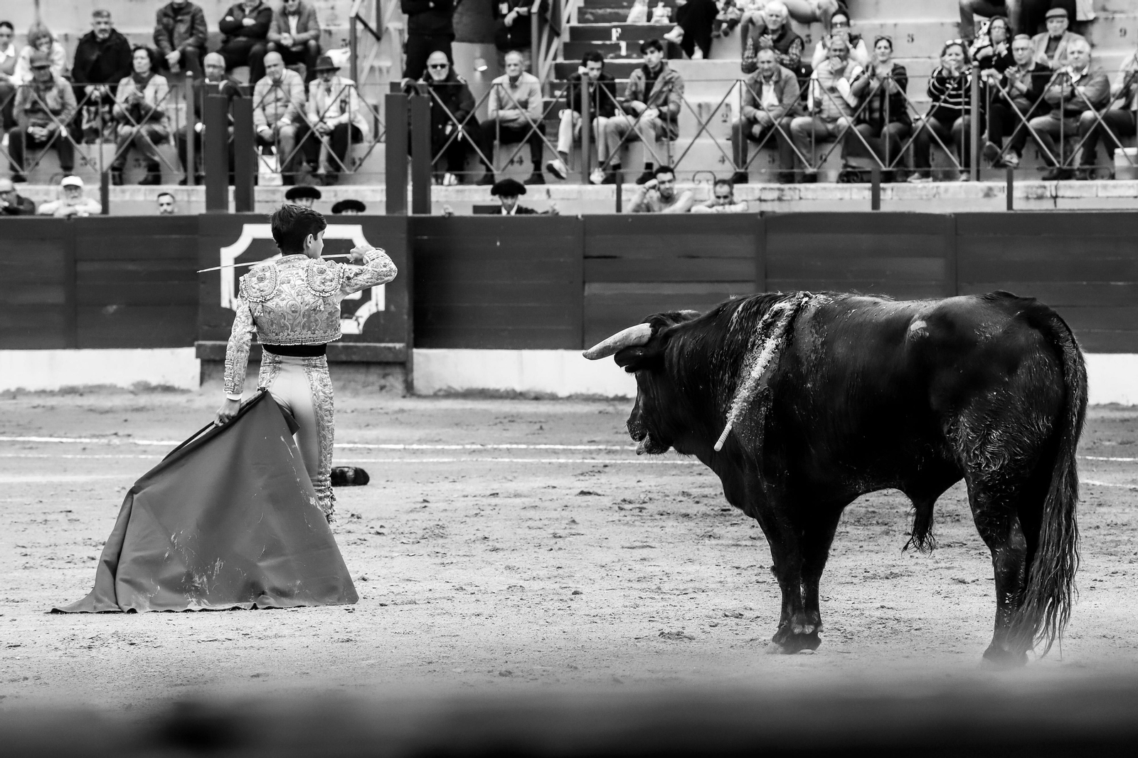 Imágenes de la novillada previa a la Semana Santa en la plaza de toros de La Línea