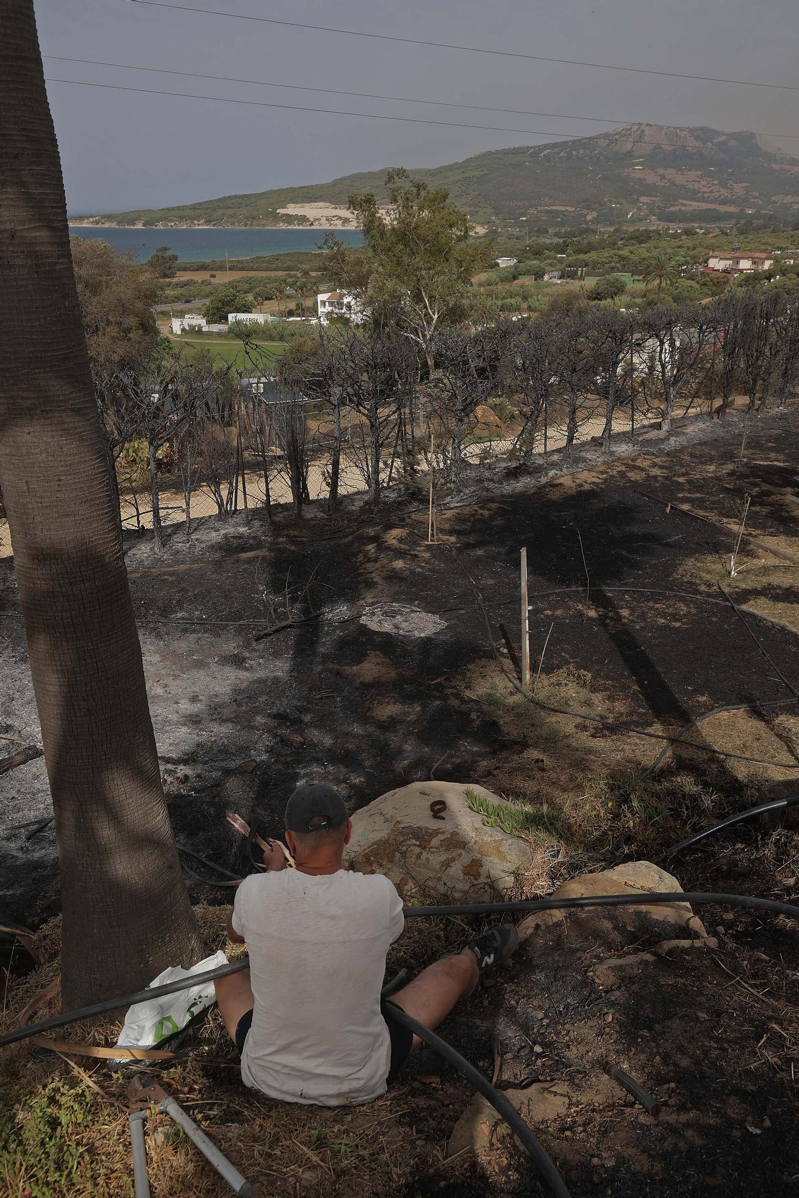 Fotos del incendio forestal de Torre de la Peña en Tarifa