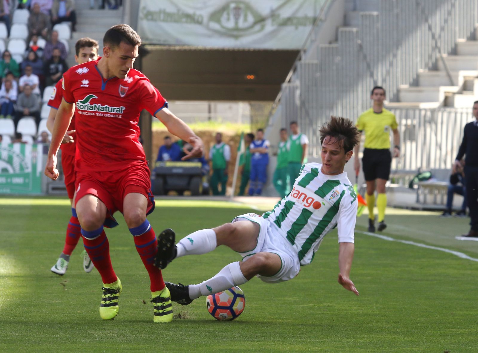 El Córdoba CF-Numancia, en imágenes