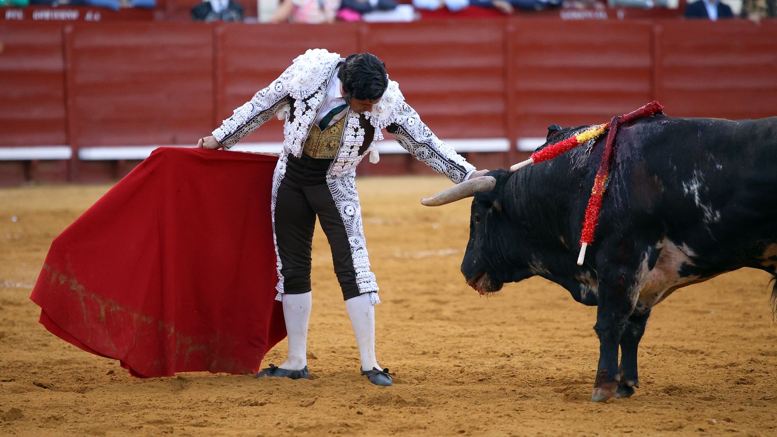 Tercera tarde de toros y última de la Feria de Jerez con Morante, Juan Ortega y Roca Rey