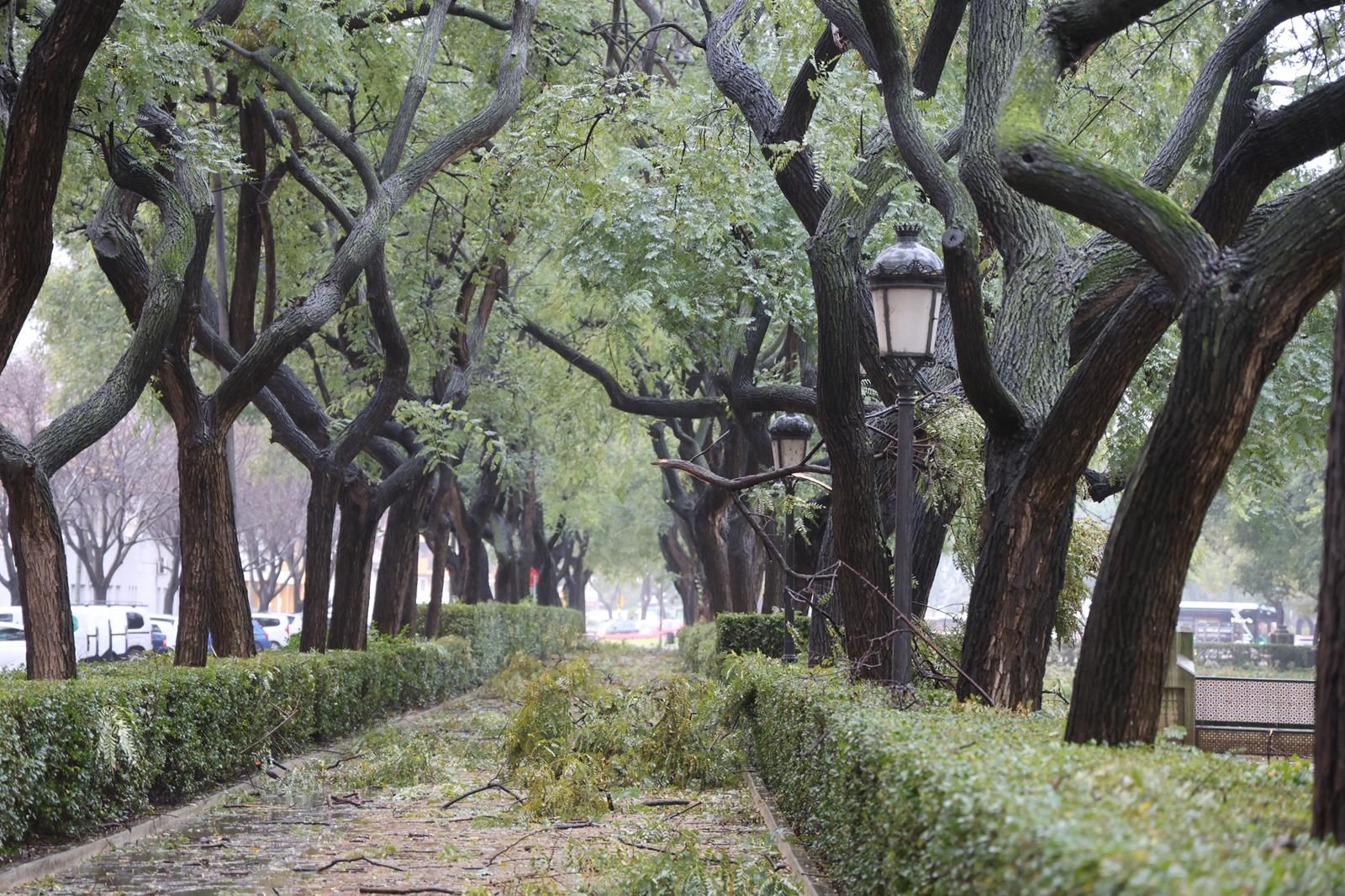Fotografías de los destrozos de la borrasca Kristin en Huelva este miércoles