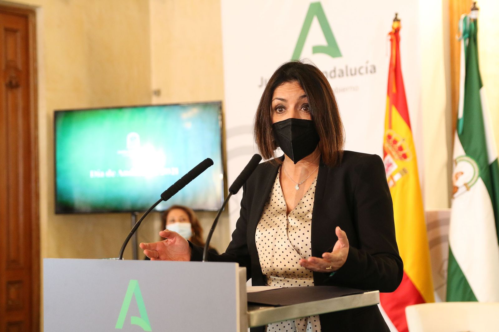 Fotogalería de la entrega de banderas por el Día de Andalucía