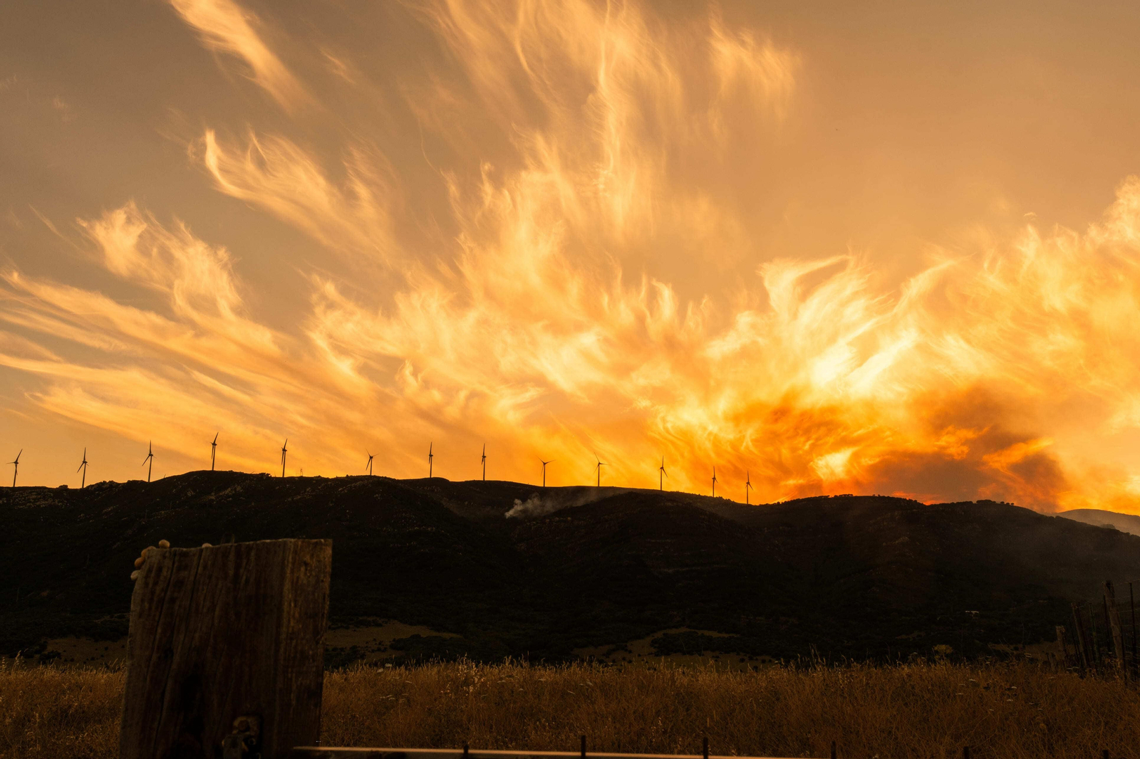 Los efectos del devastador incendio en el paraje monte de La Peña, en imágenes