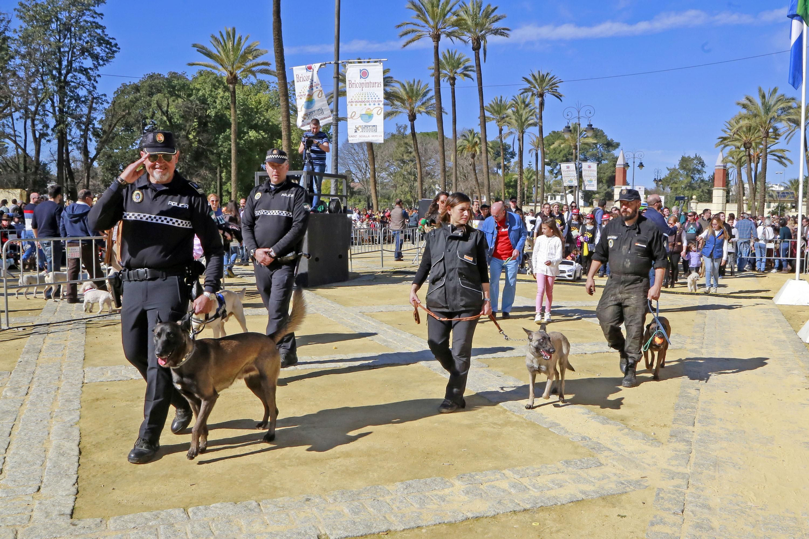 Imágenes de San Antón 2020 en Jerez
