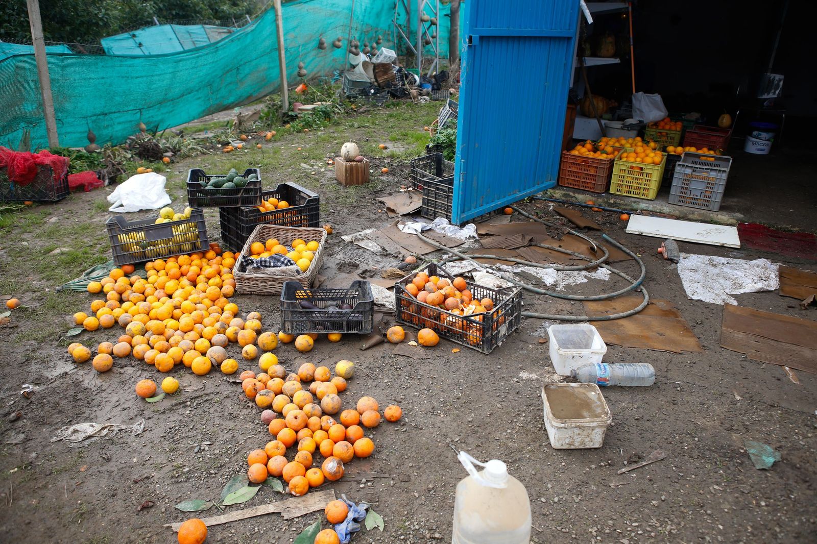 Fotos de las consecuencias de la borrasca Francis en Tesorillo y Jimena