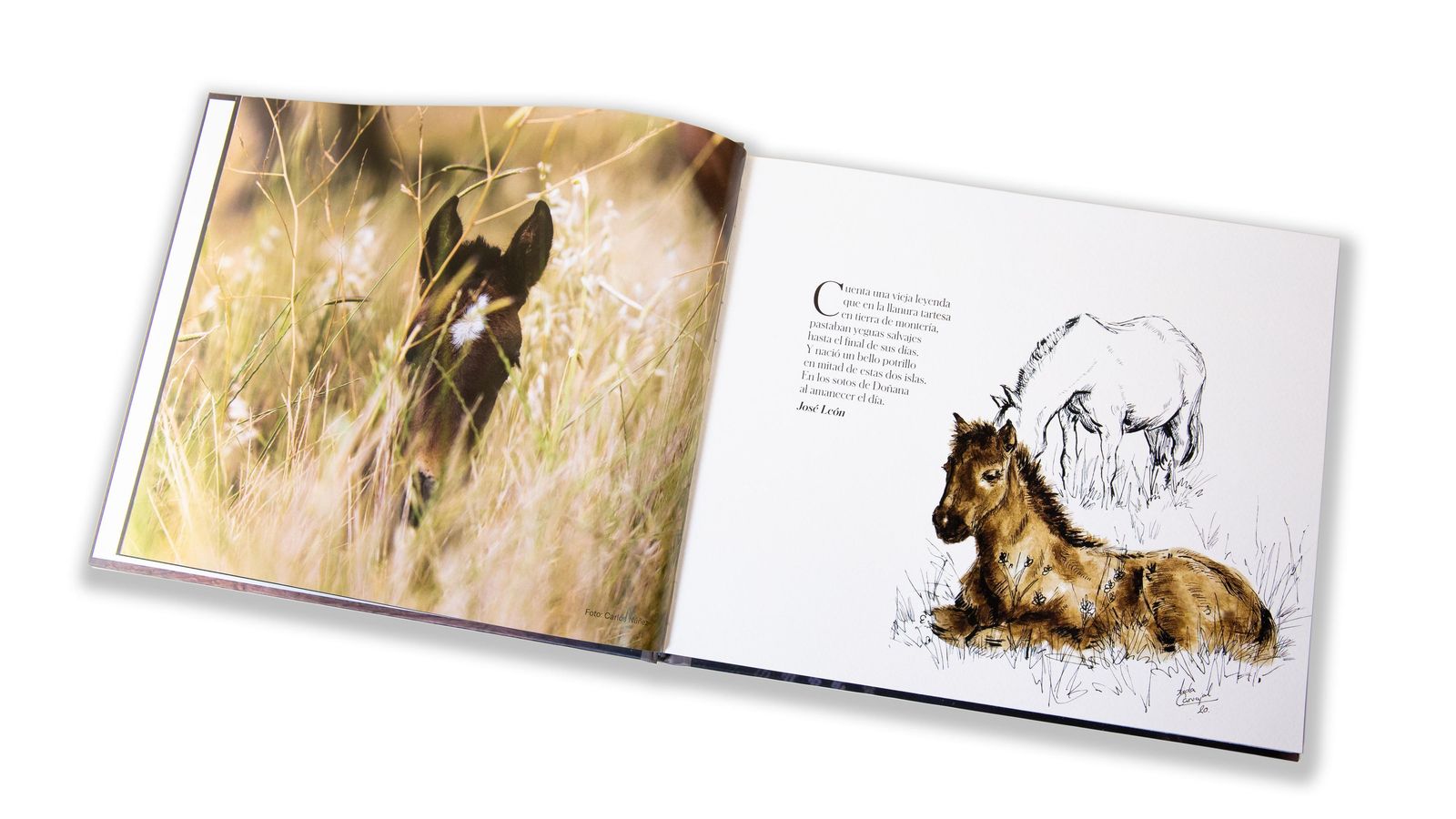 Los poemas de José León se funden con fotografías e ilustraciones.