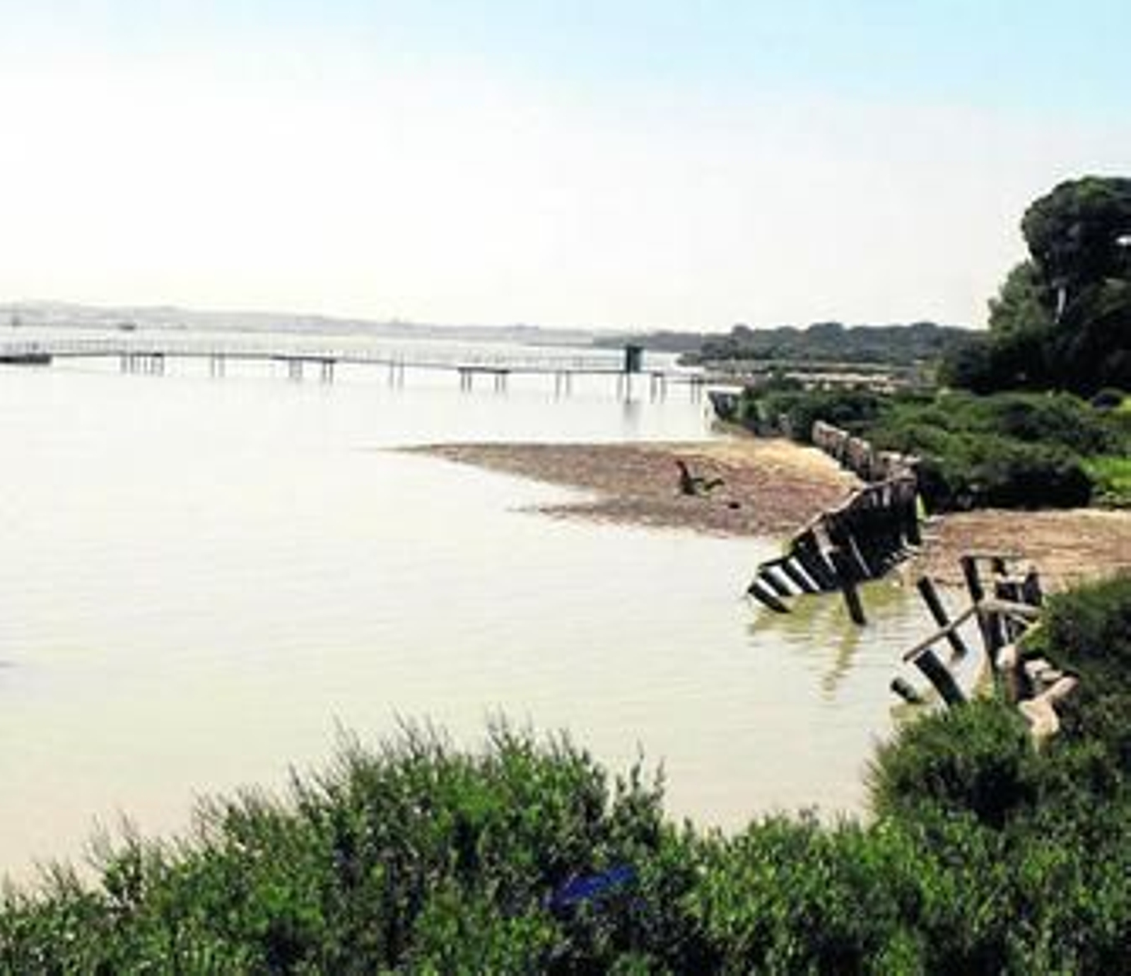 El estuario del Guadalquivir a la altura del Parque de Doñana.