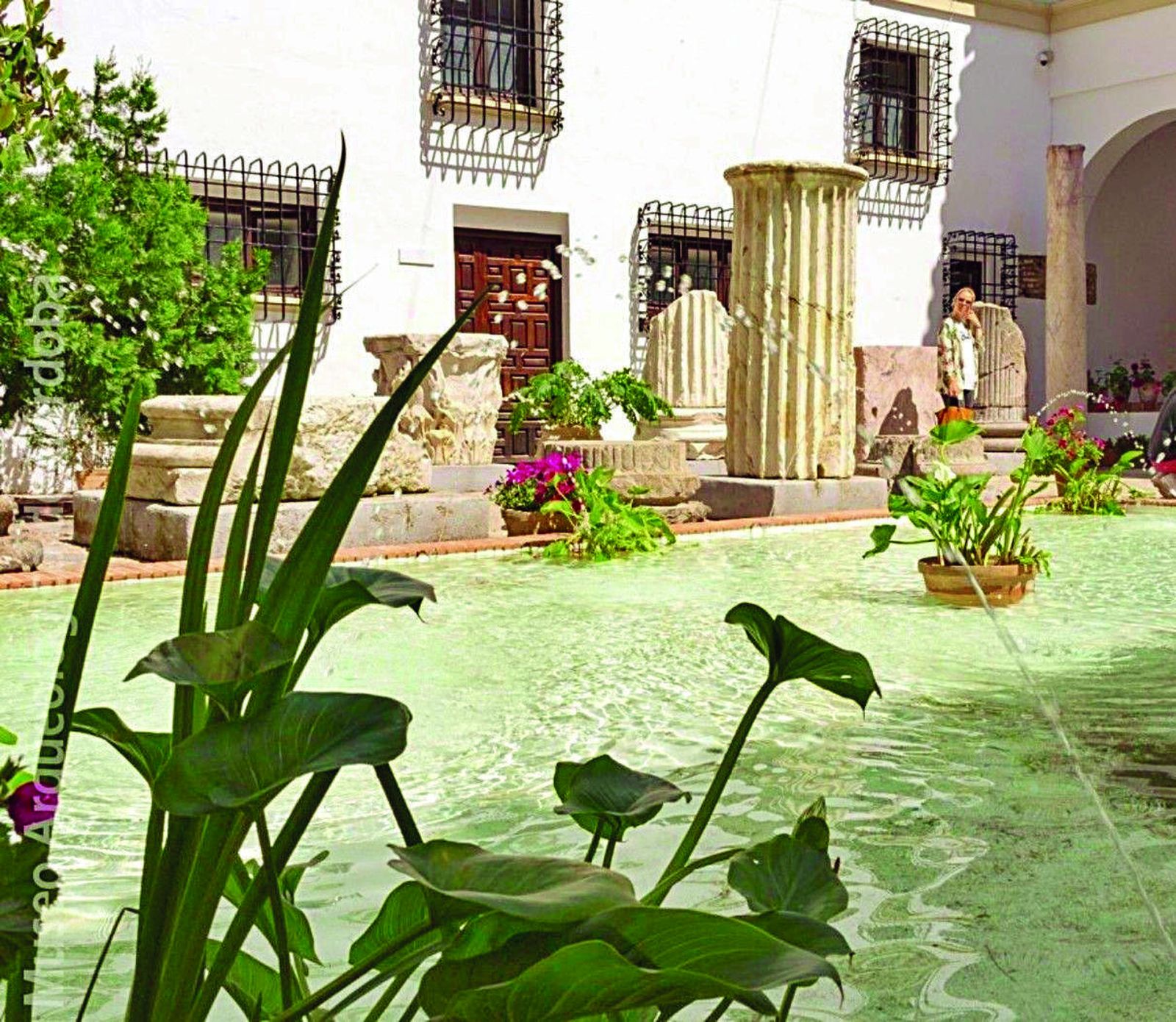 Guía de los Patios: Plaza Jerónimo Páez, 7