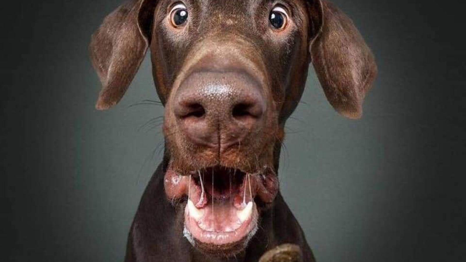 Sesión de fotos 20