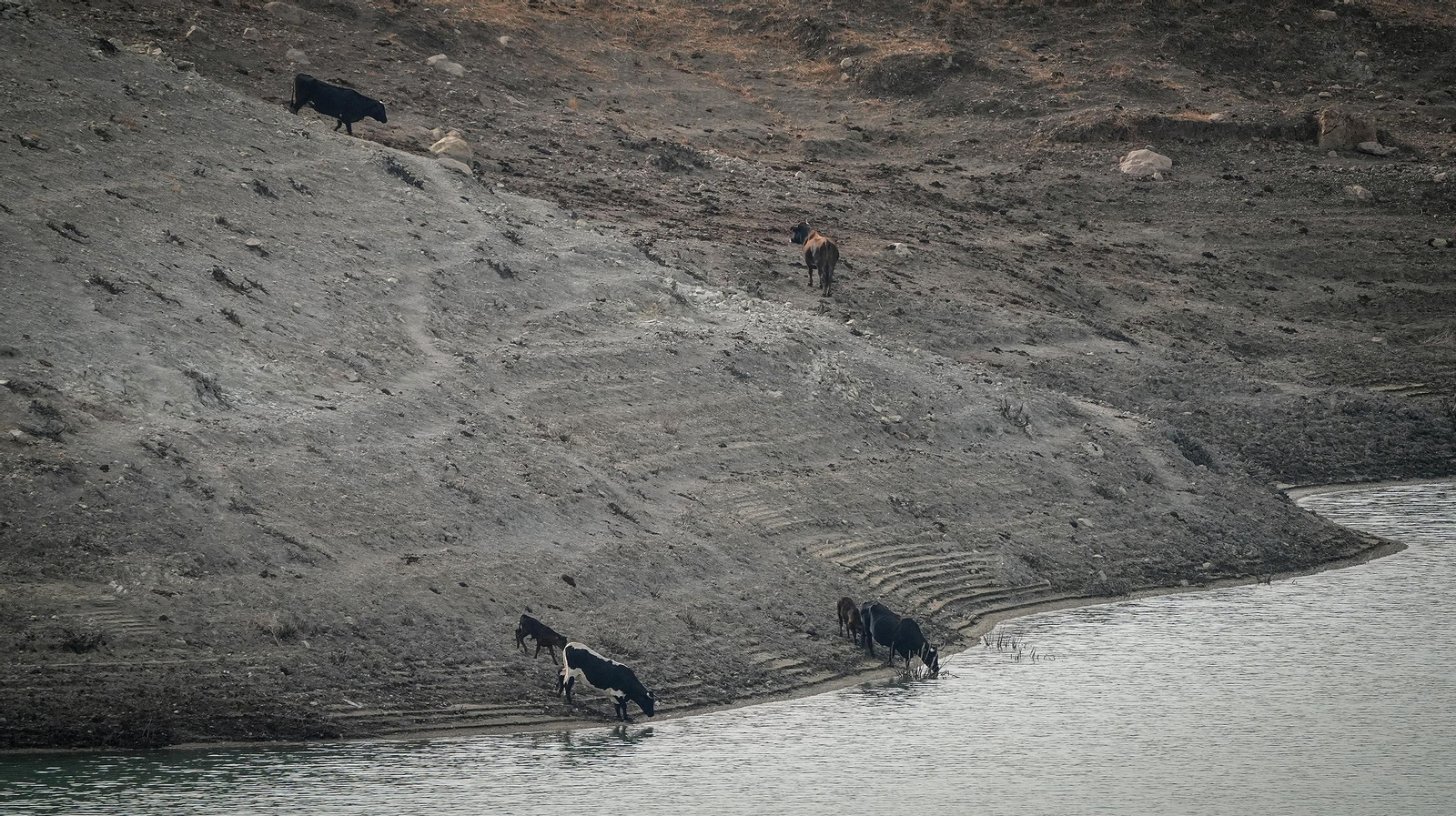 Así se encuentran algunos embalses de la provincia