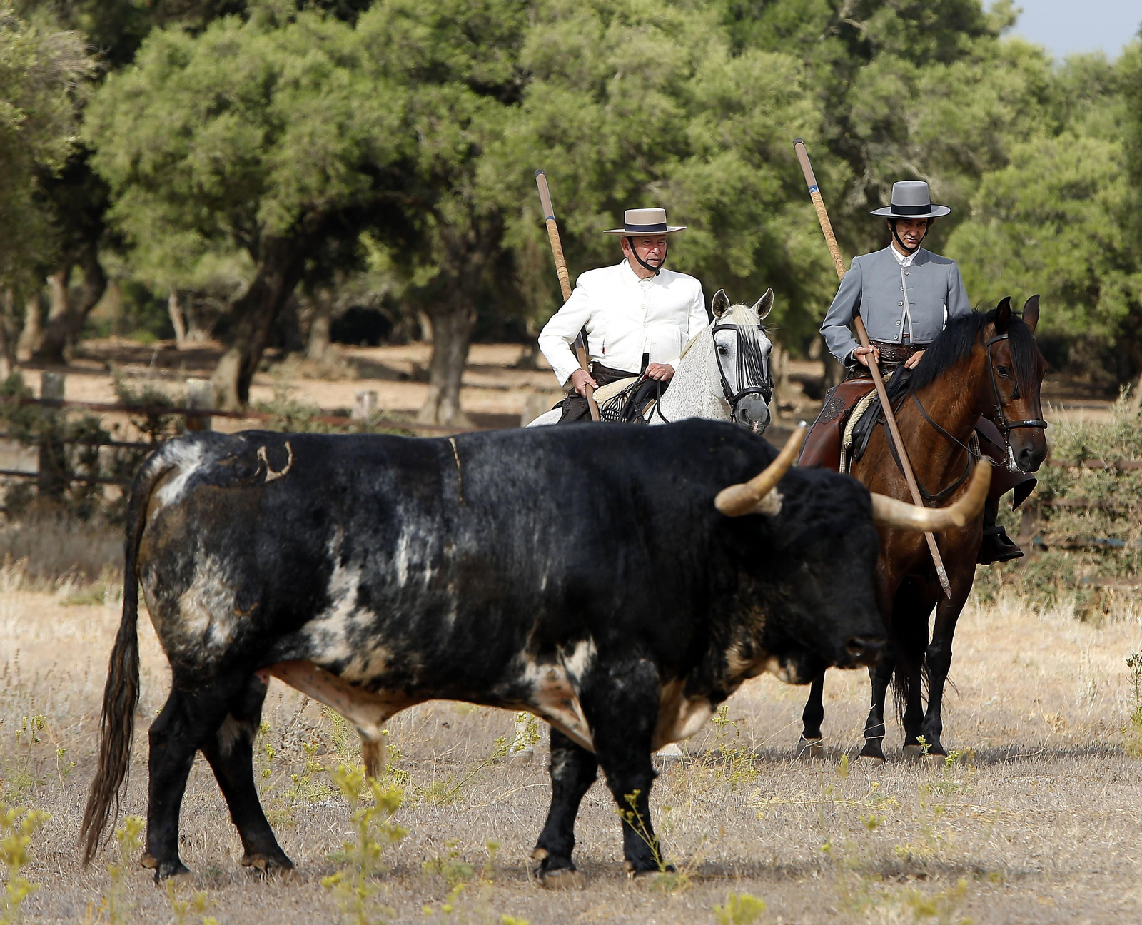 Morante se deja ver a caballo en el campo ante los 'torrestrella' de Huelva