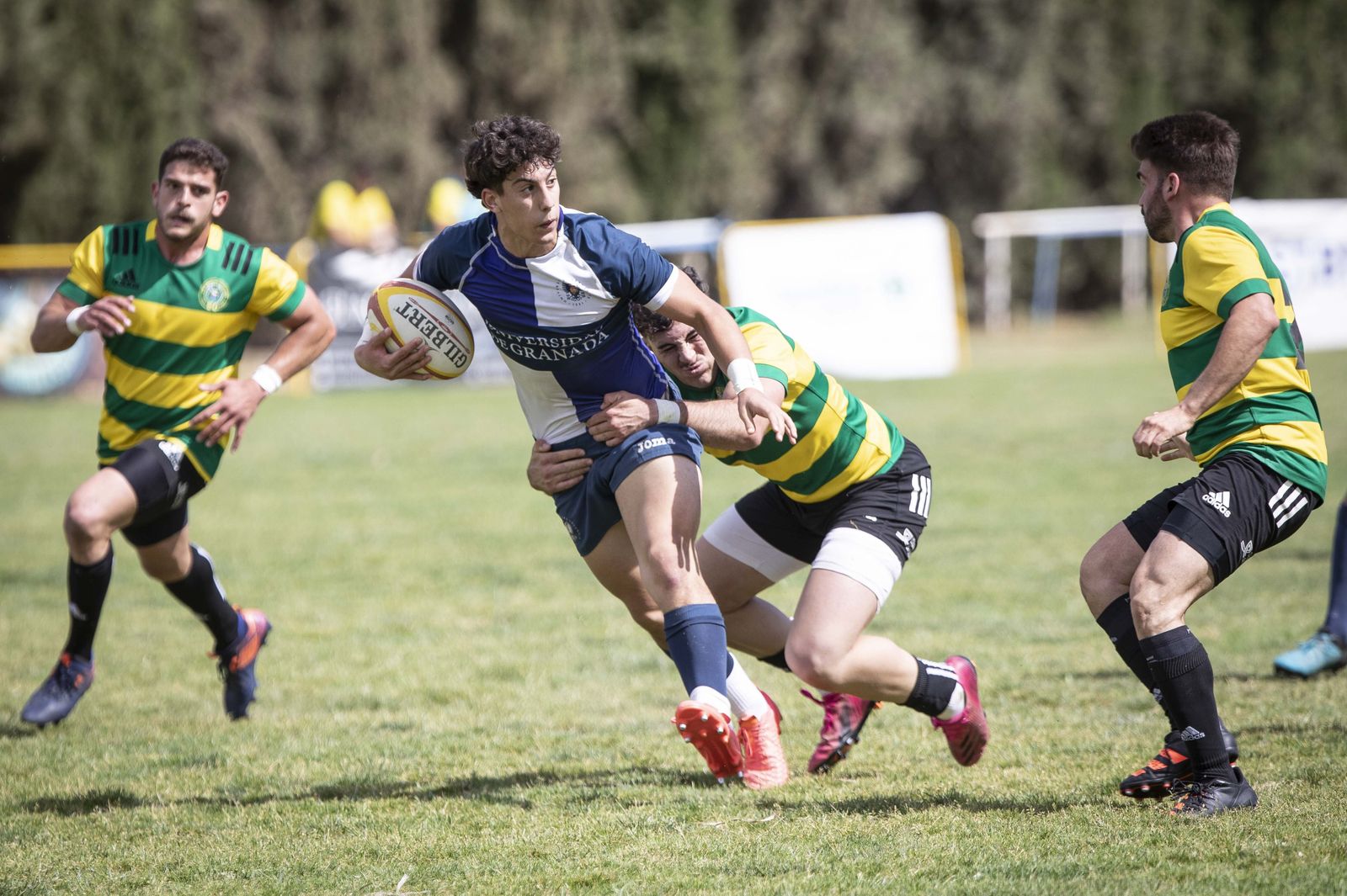 Las mejores fotos del partido del ascenso a División de Honor B de rugby entre Universidad de Granada y Portuense