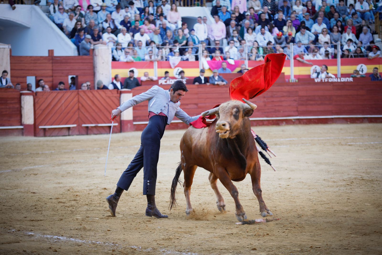 Imágenes del festival mixto lucha contra el cáncer