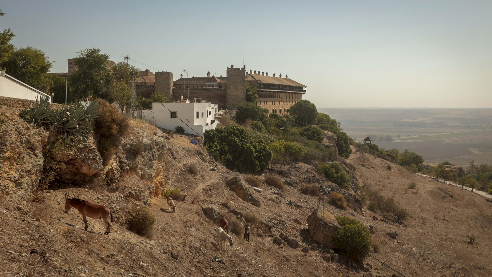 Un recorrido por las entrañas de Carmona