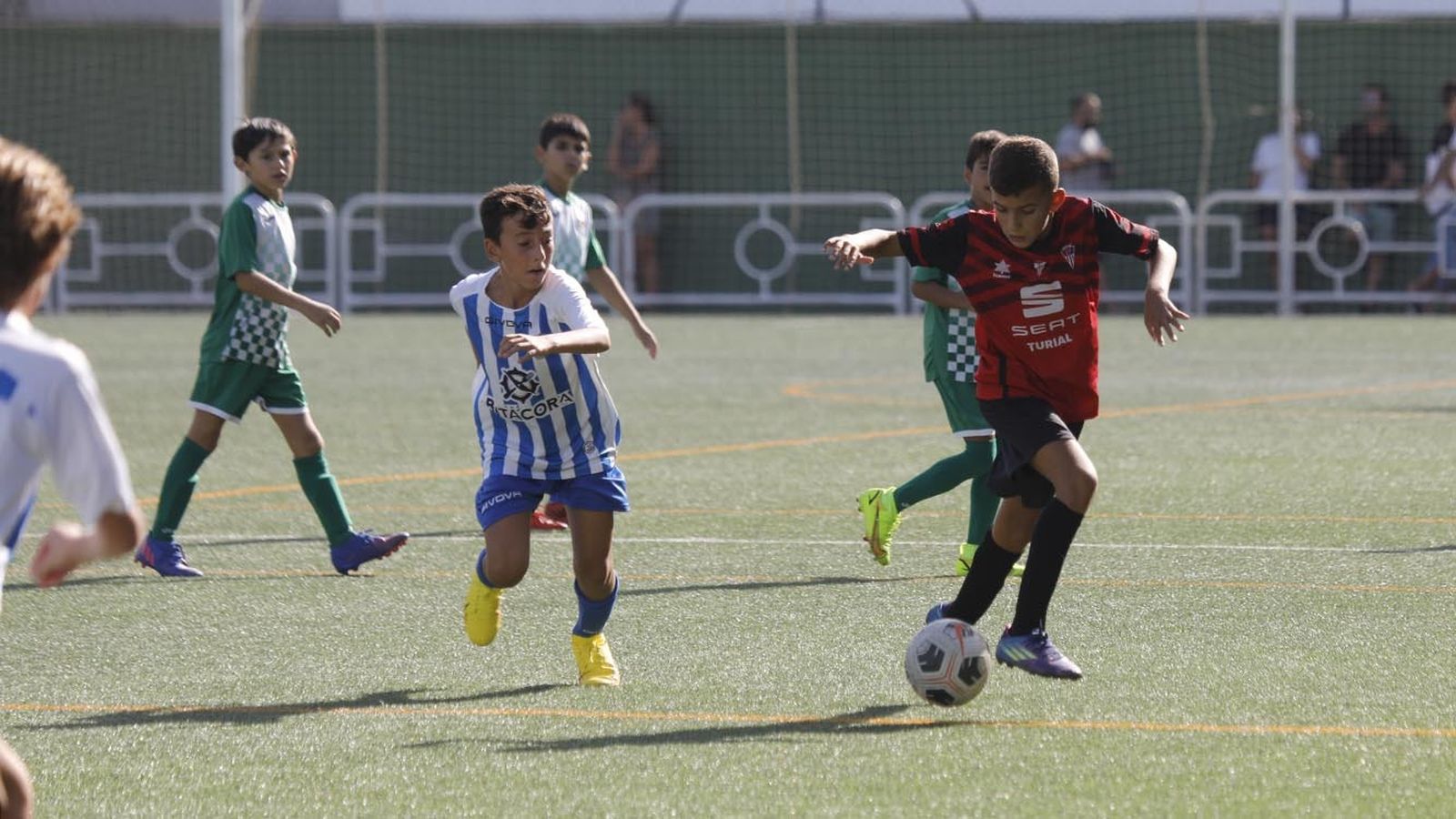 Las fotos del Torneo de alevines en el campo de Los Olivíllos en San Roque