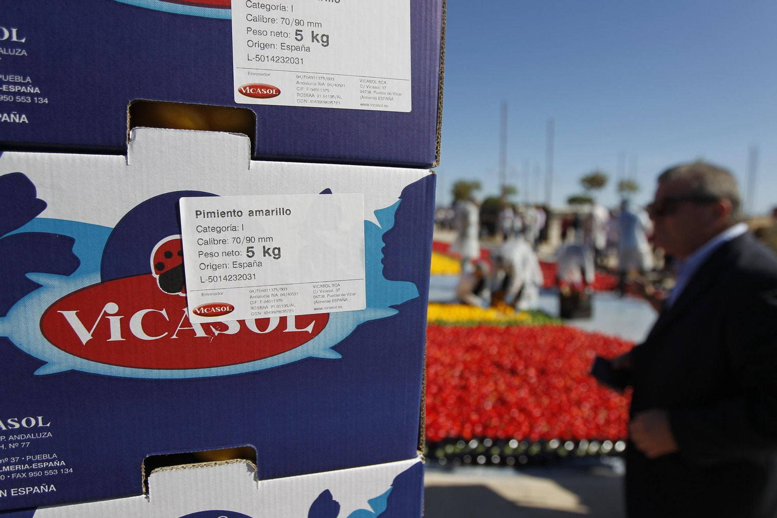 Fotogalería Récord Guinness Corazón Hortalizas Almería