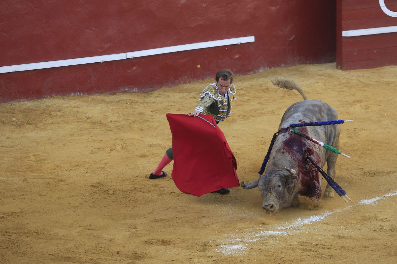 Fotos de la corrida de toros de la Feria de San Roque con David Galván, Román y Joaquín Galdós