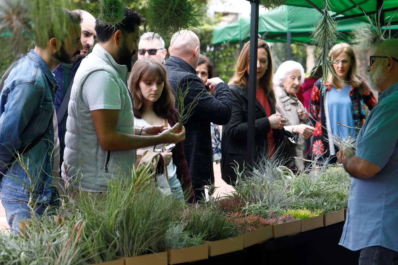 Así es la III Feria de las Orquídeas de Córdoba, en fotografías