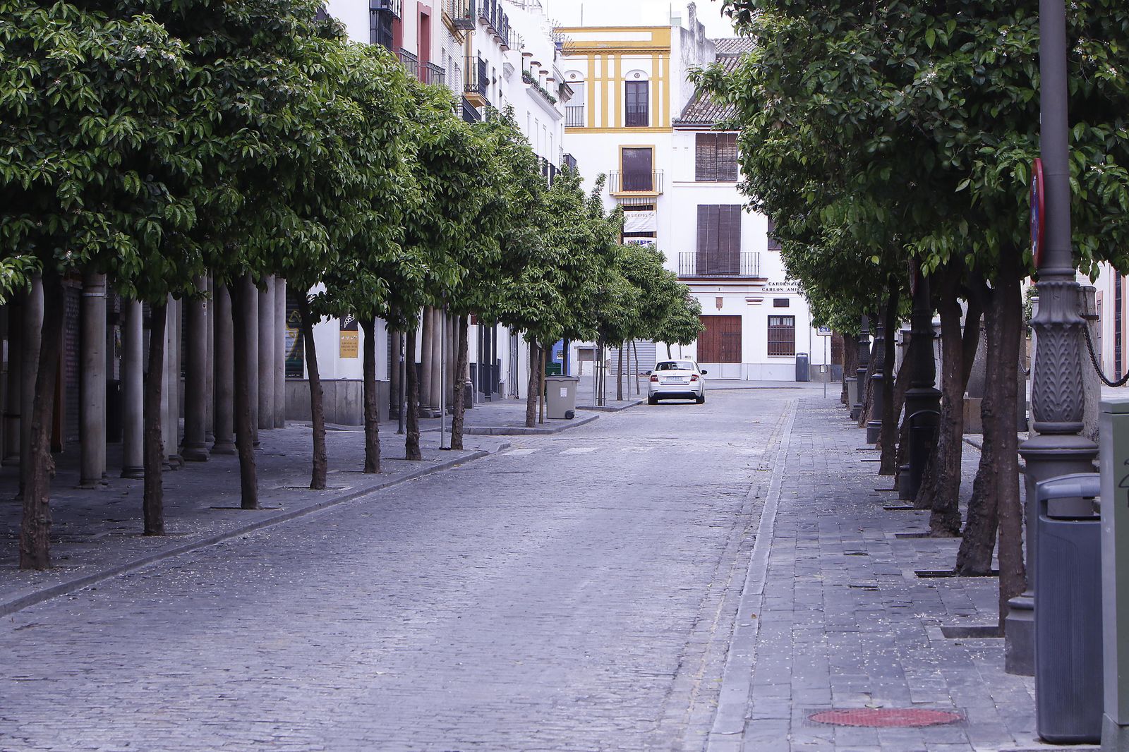 La calle Alemanes en la mañana de ayer.